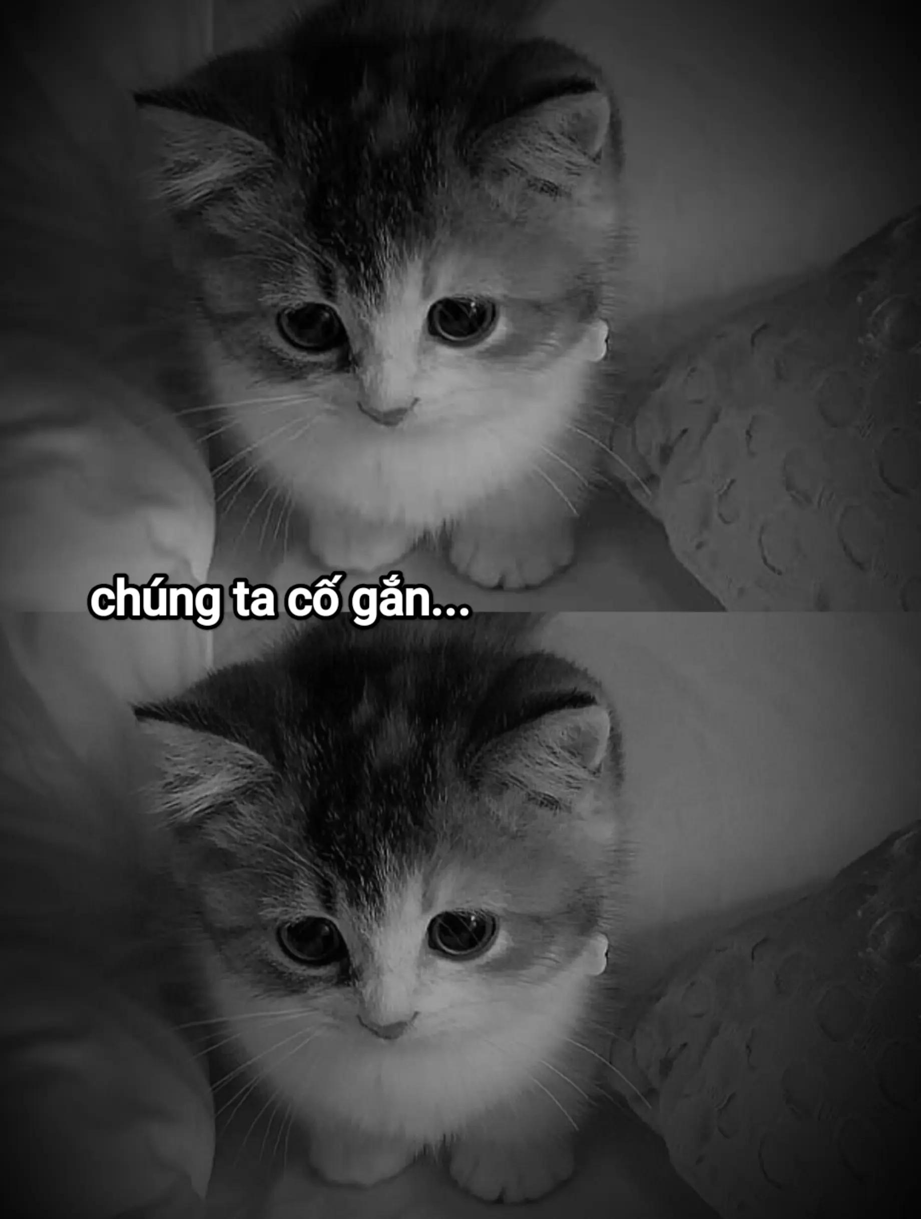 @long nguyễn😊