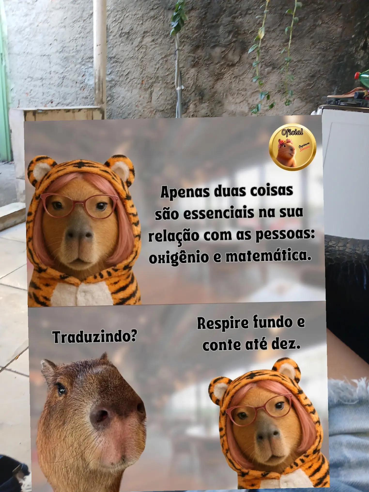 @Celiane