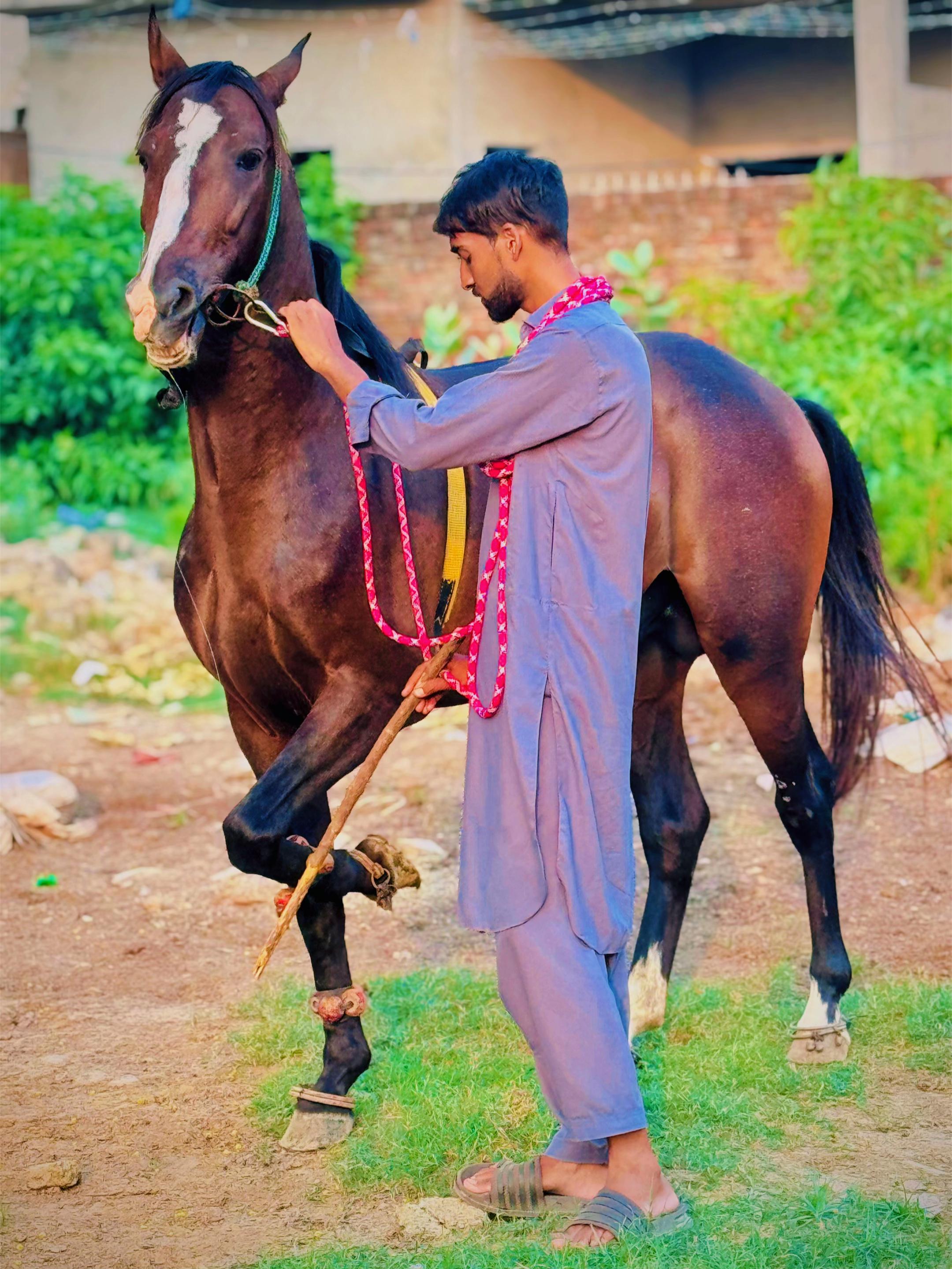 @Sameerx653