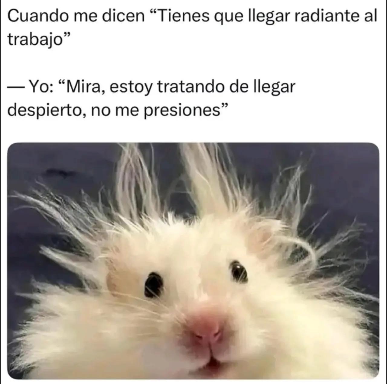 @Freddy QH