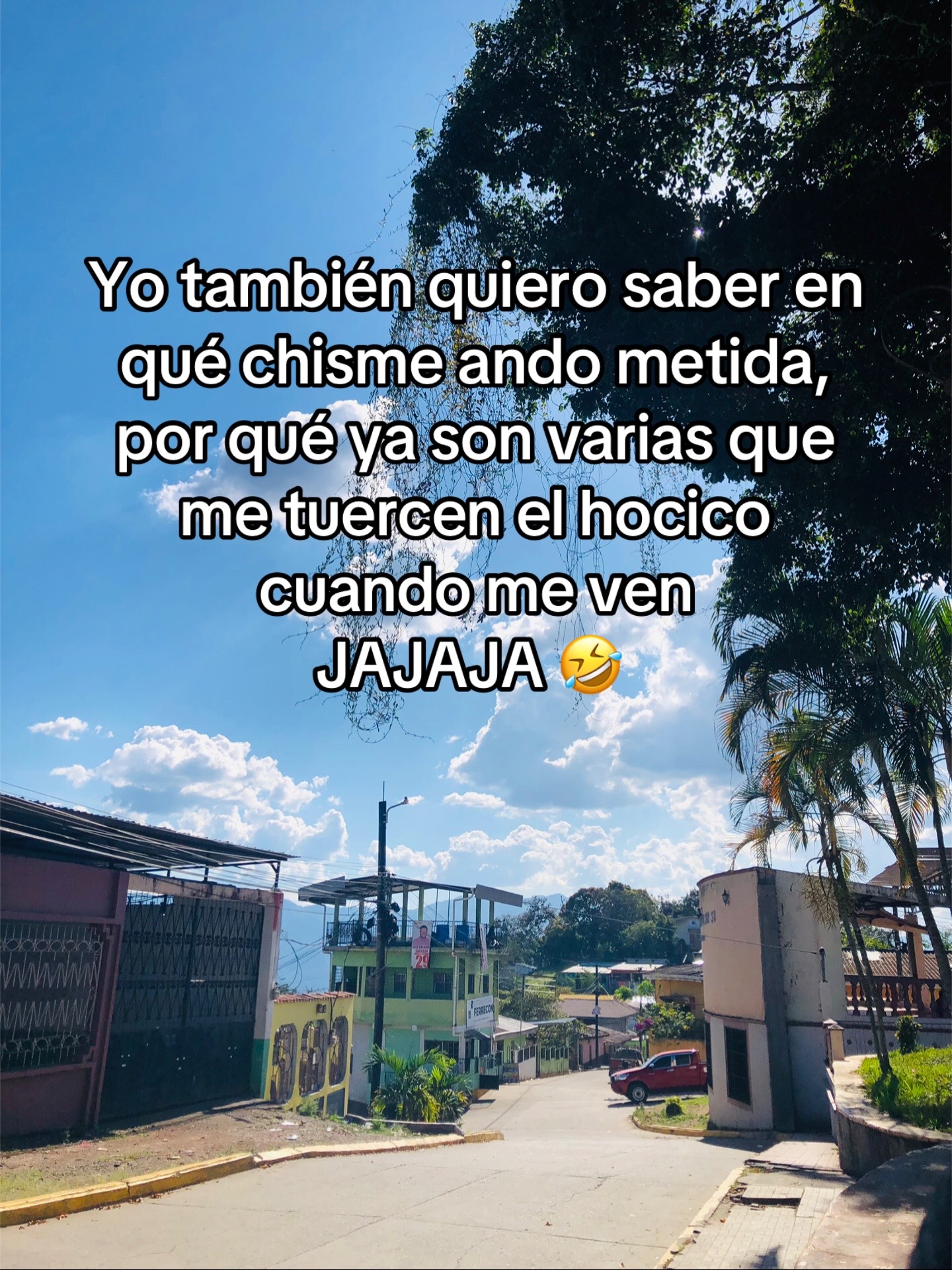 @Melissa Pineda🐽🕷️