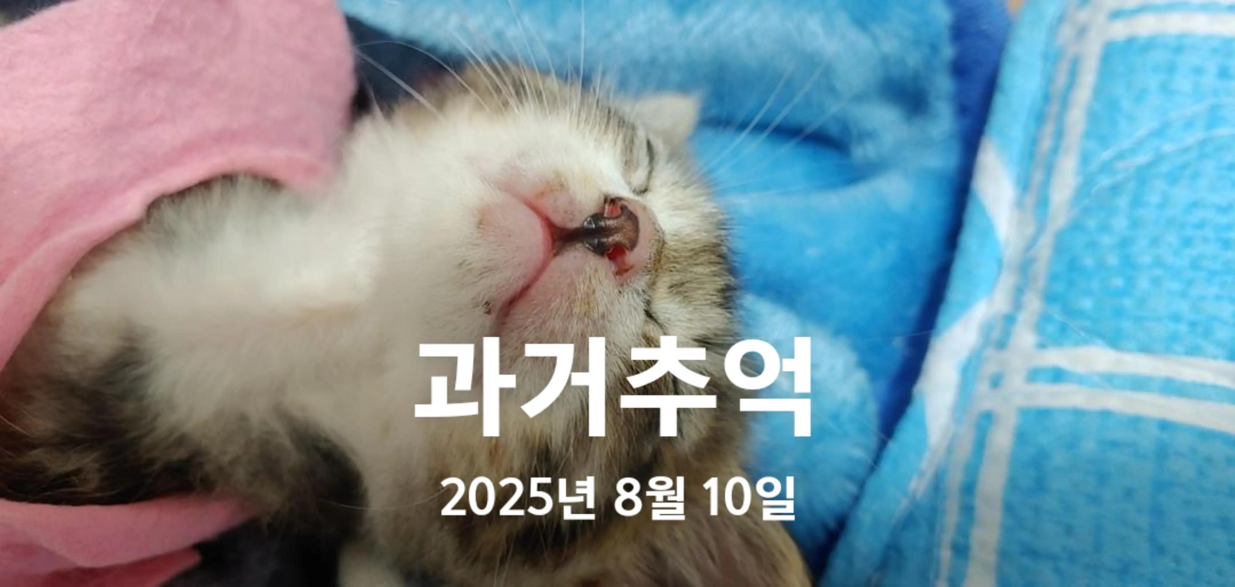 @๐ฉต๋ฅ๋ฅ์ดํ์ฐ์ค 14๋ฅ2๋ฉ๐