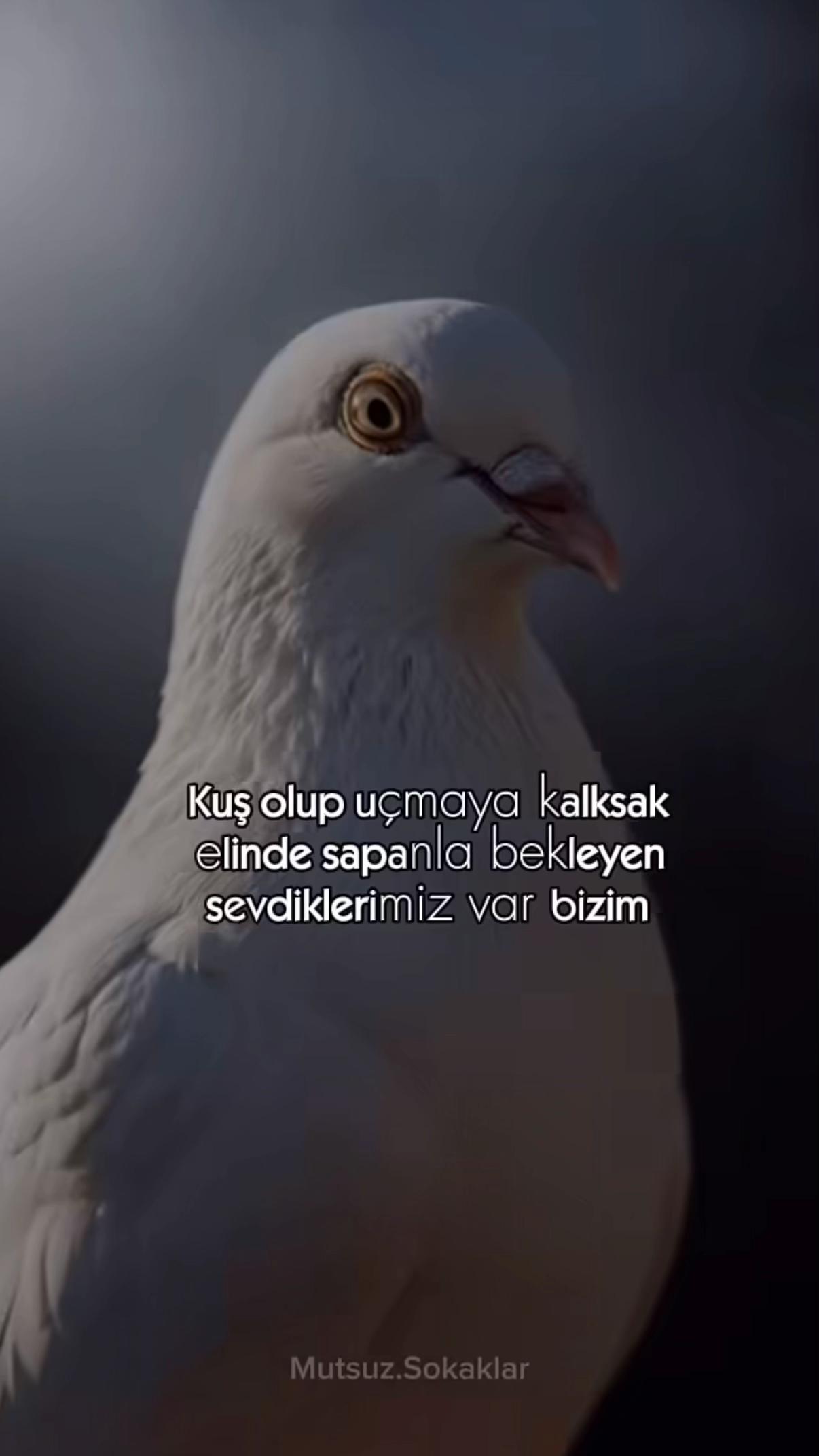 @B&uuml;lent ERKUŞ