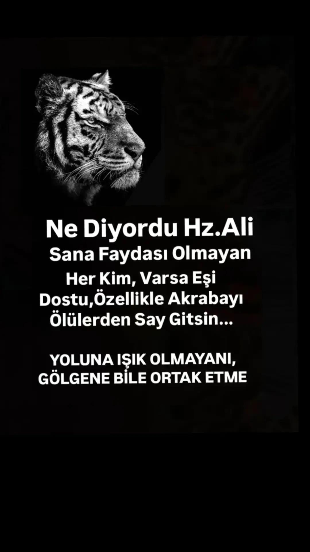 @G&ouml;cem