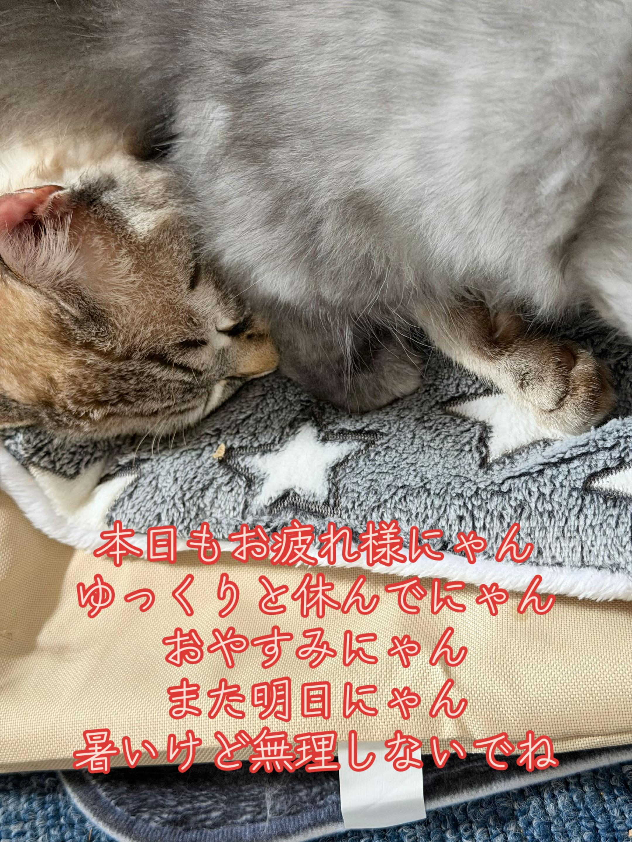 @ð¥é»æŸ€æ£å¿ð¥