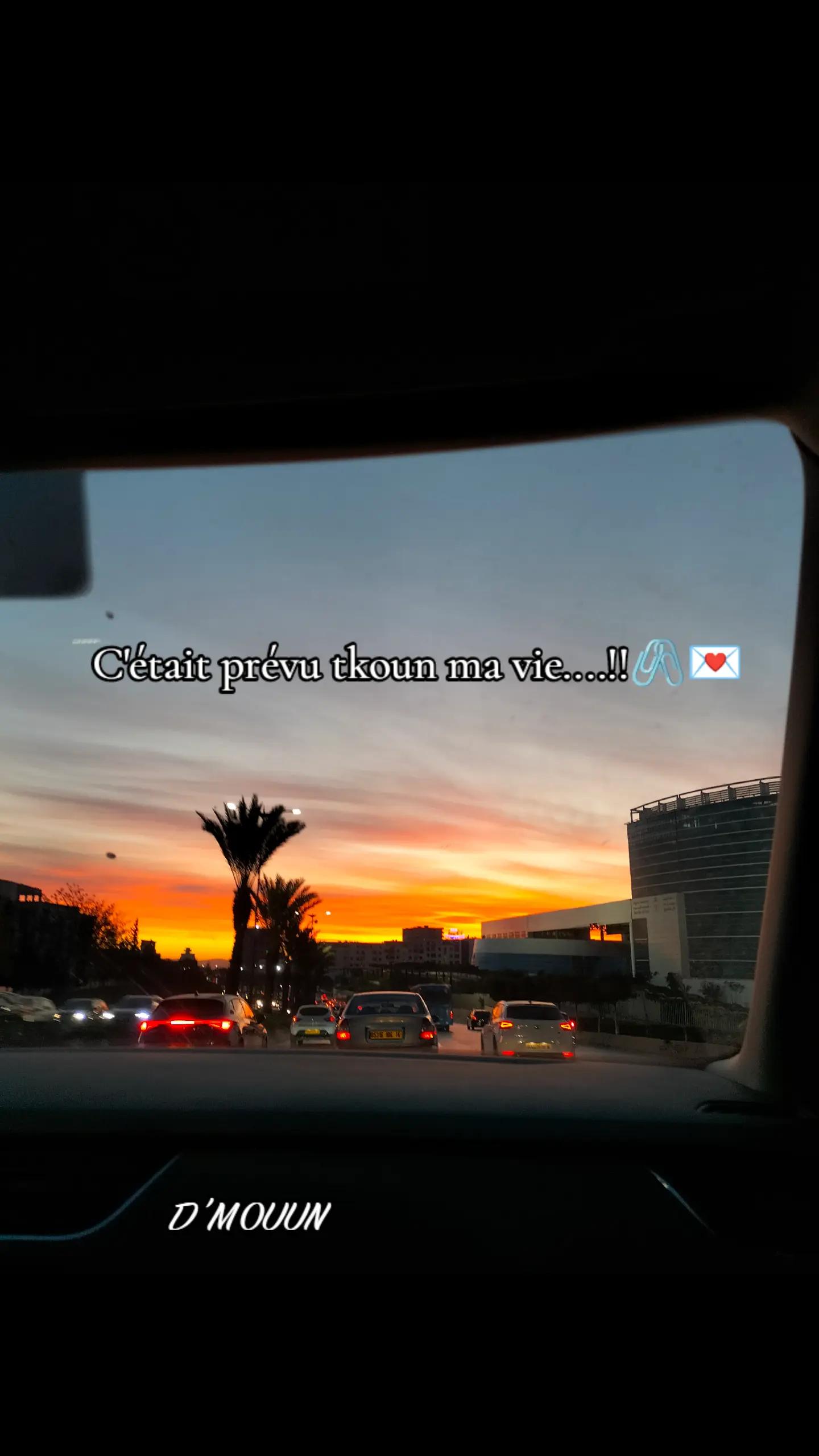 @dmouun