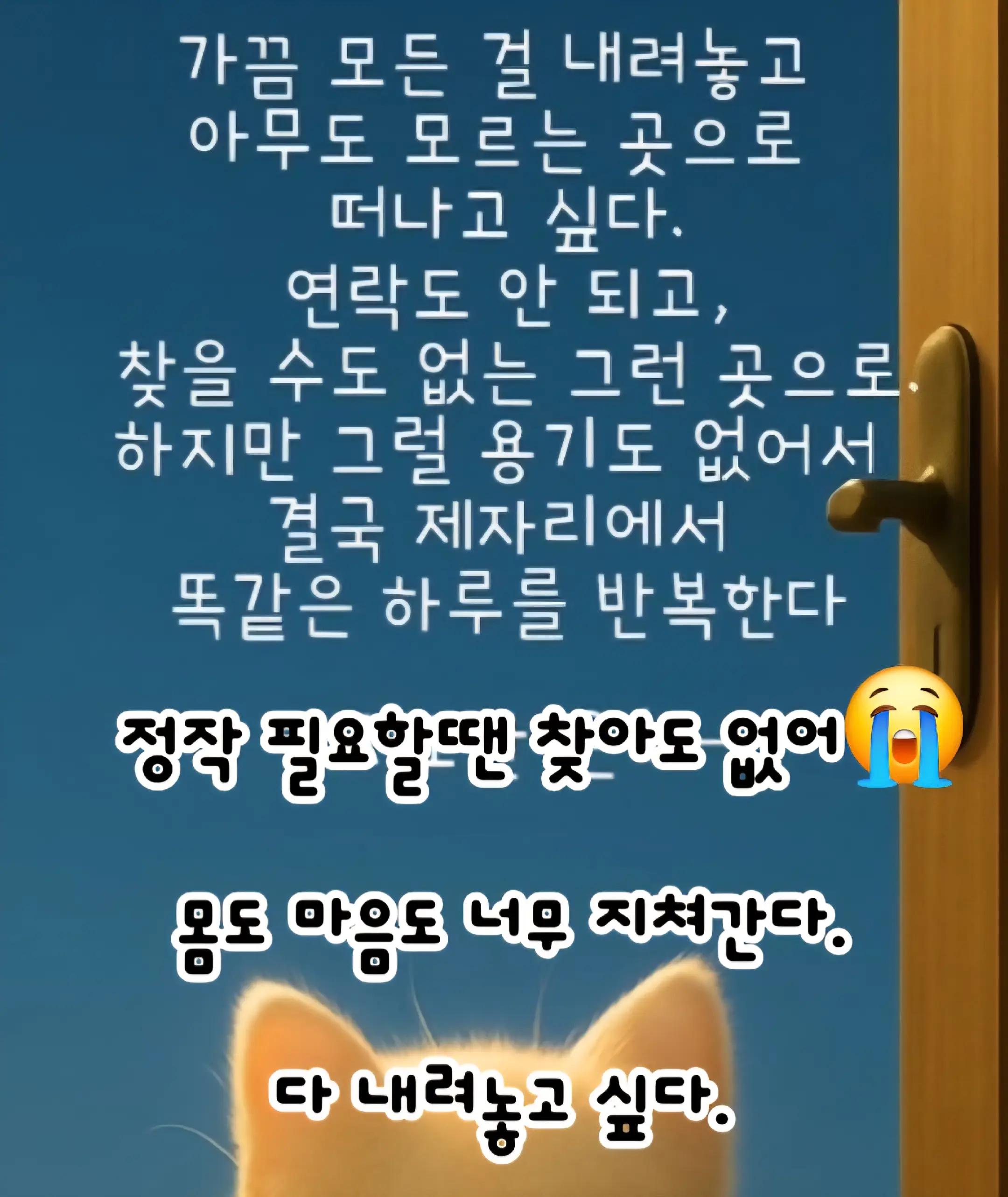 @ᶜᴬᵀ〄💖love리삐♡