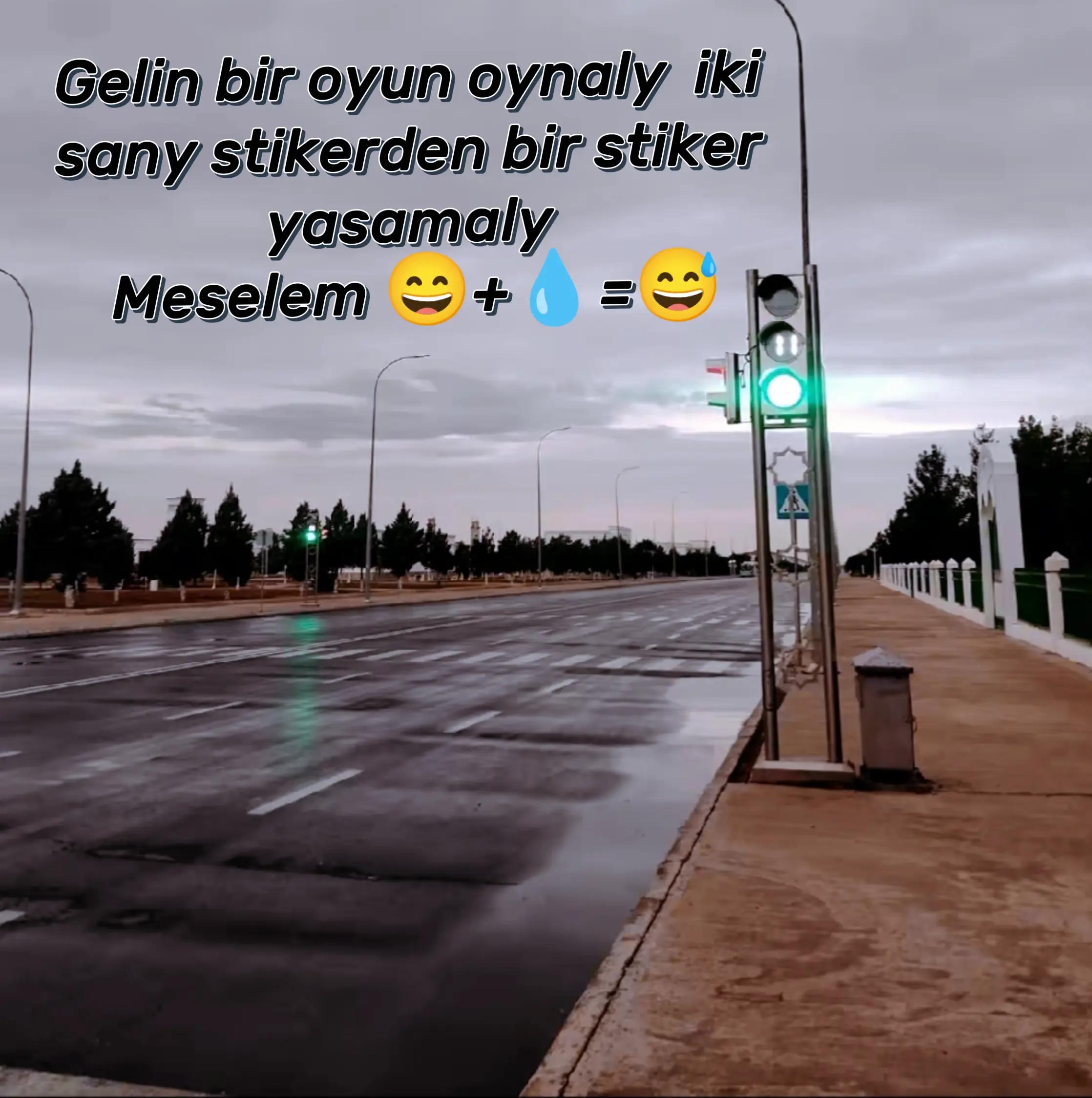 @Ąŋŋąmyrądova...🌒