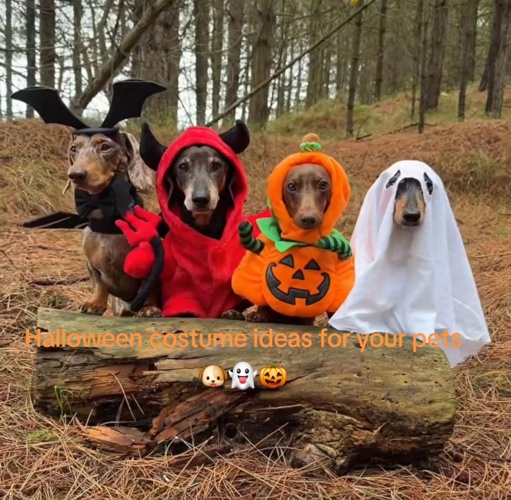 @FrightToFestive