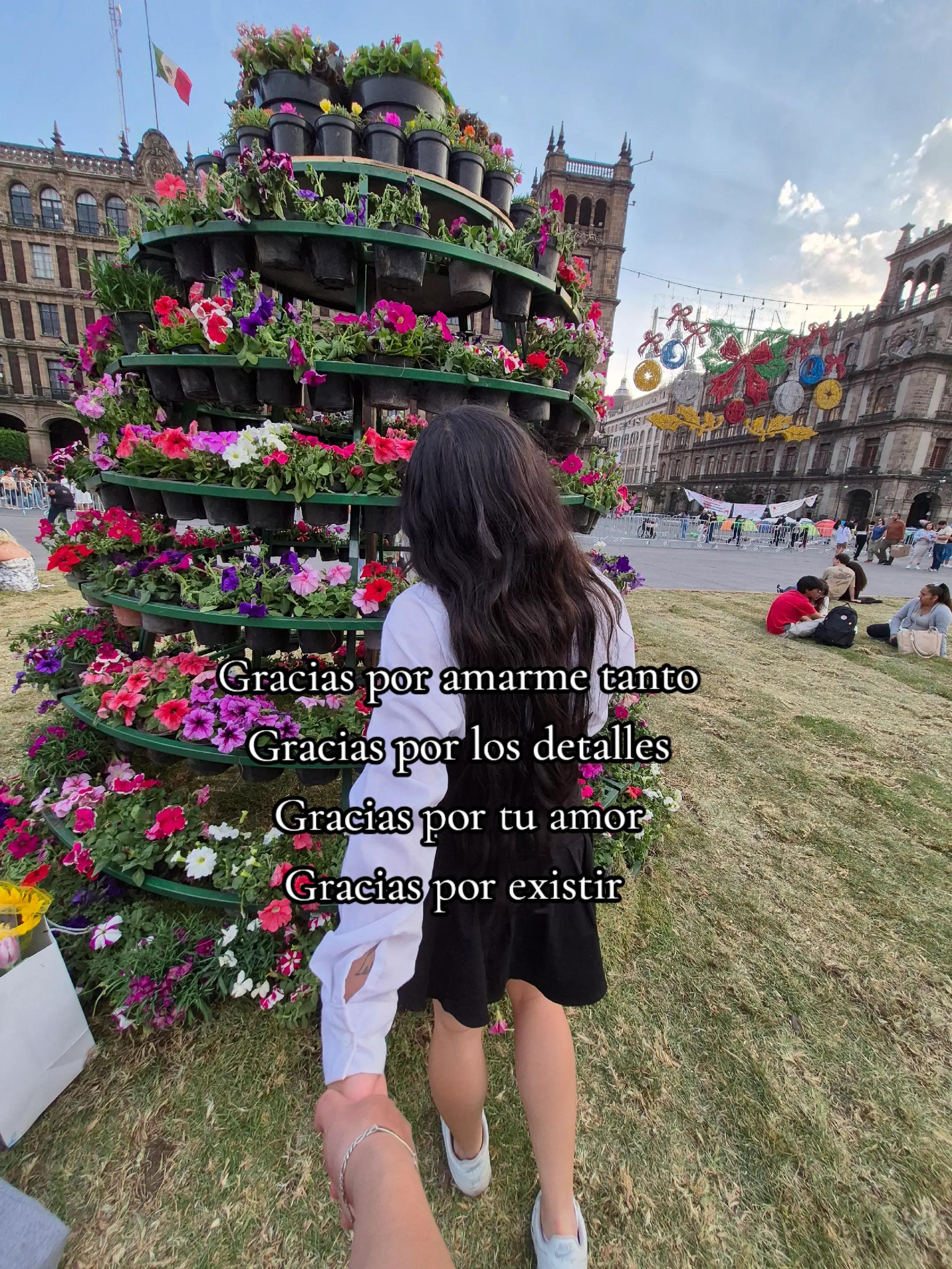 @Vivi Isidro