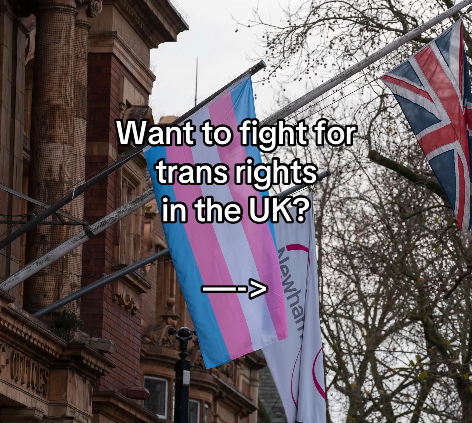 @All Things Trans 🏳️&zwj;⚧️