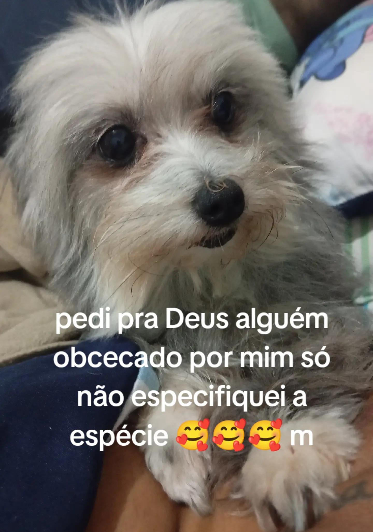 @Luiza Barros
