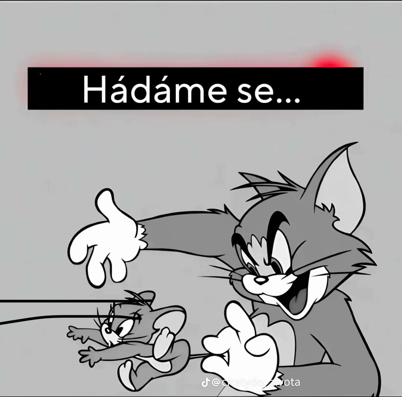 @Rendži🎀