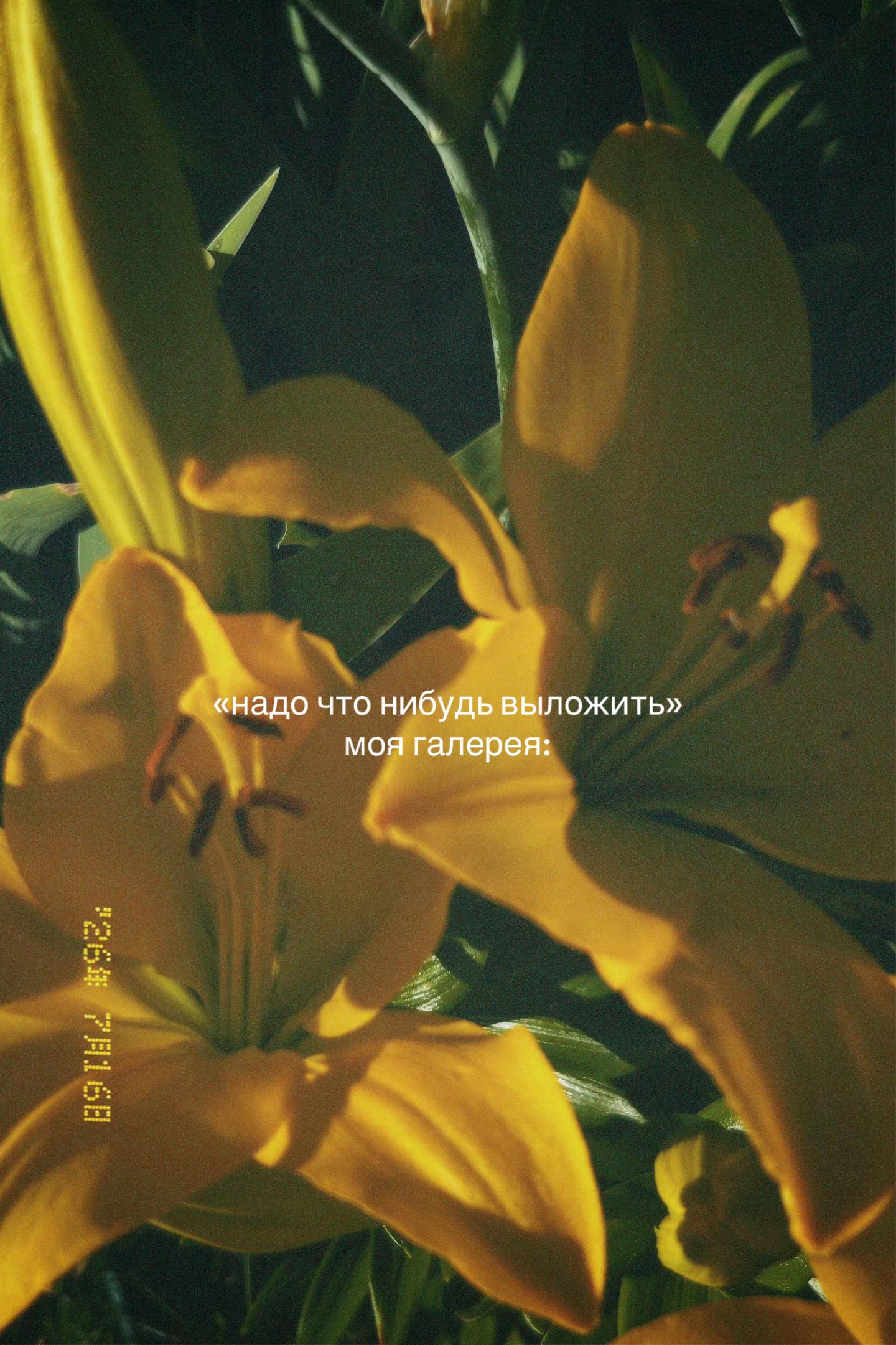 @алина ngg