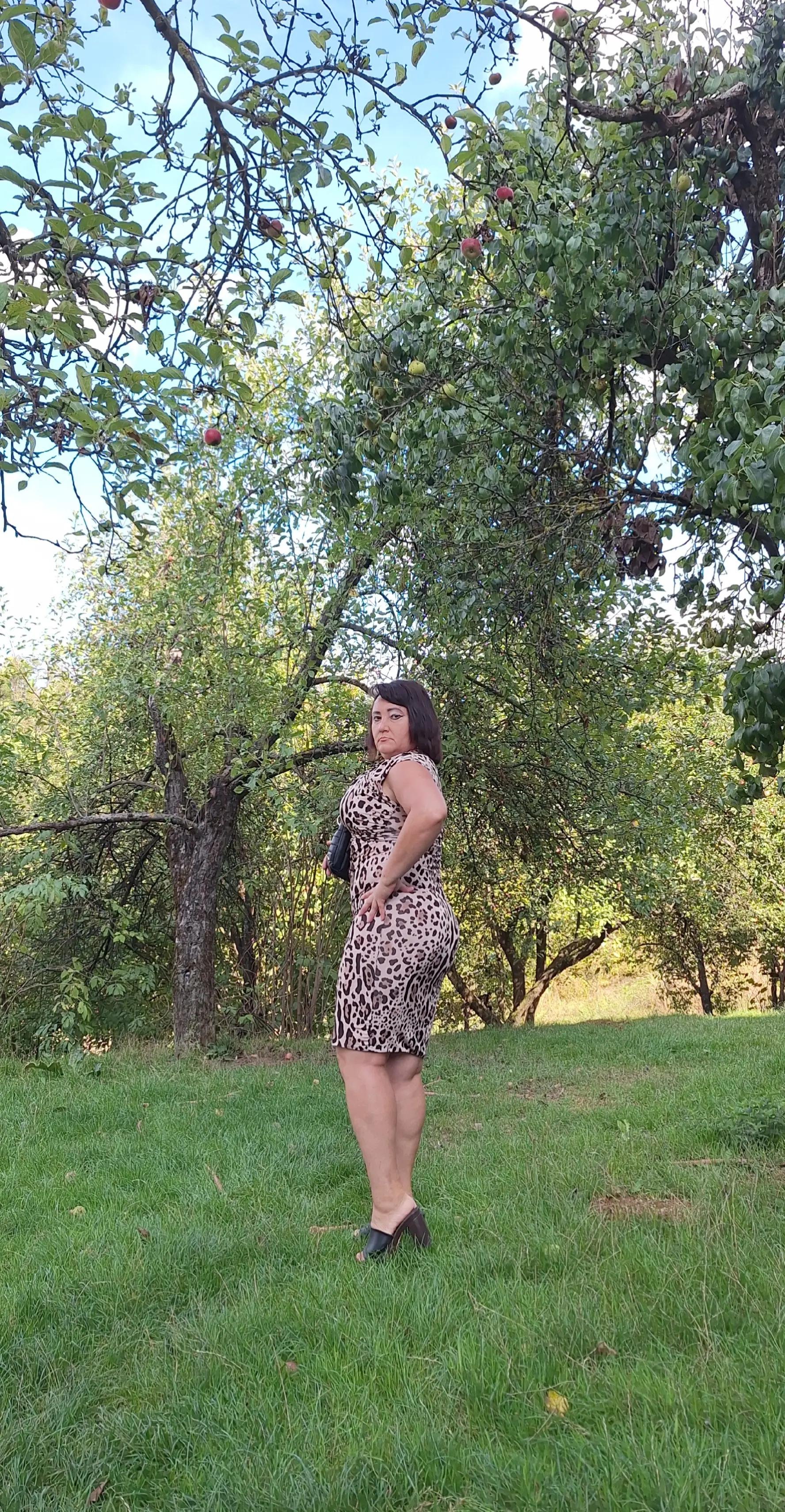 @edinakarajic81