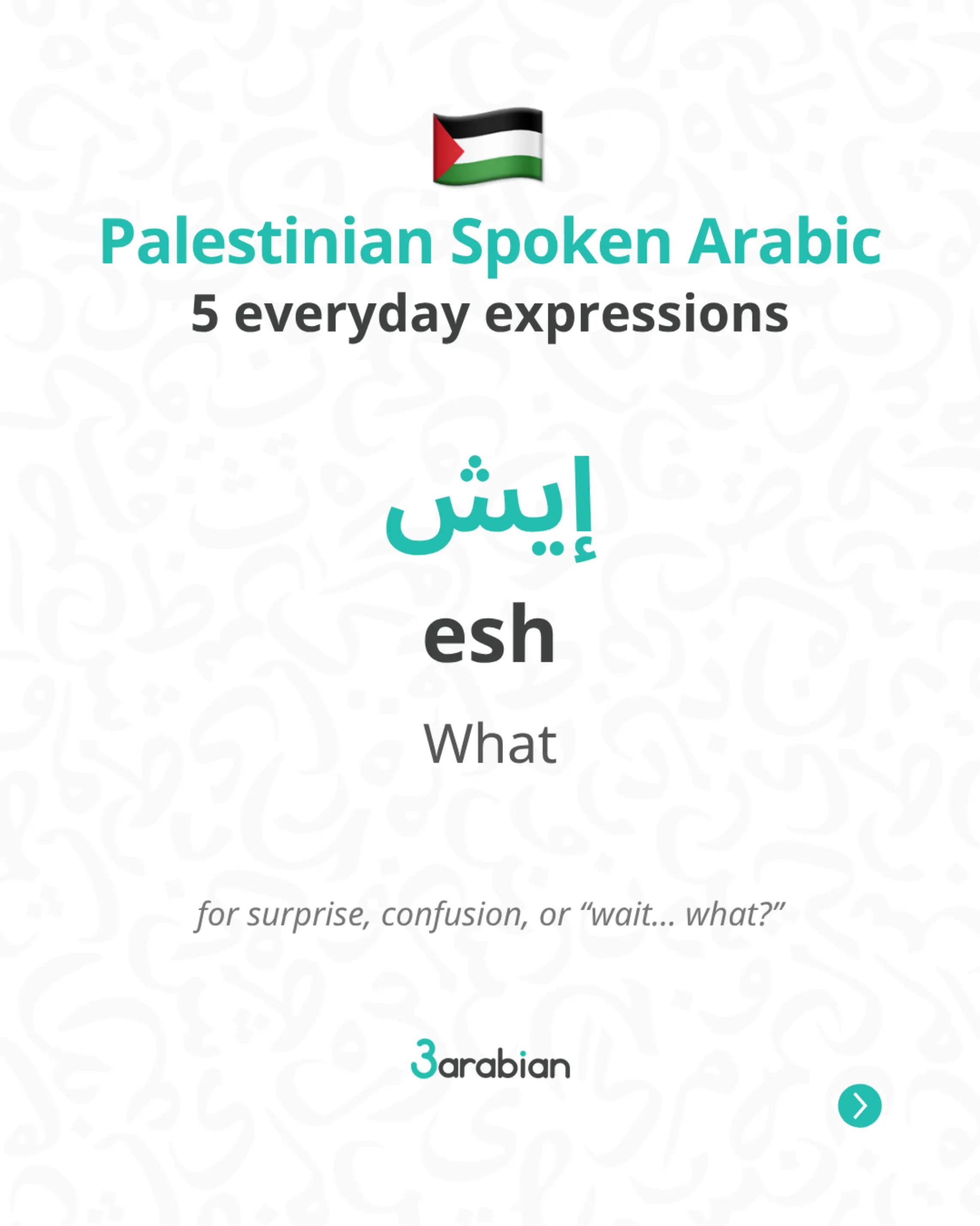 @3arabian