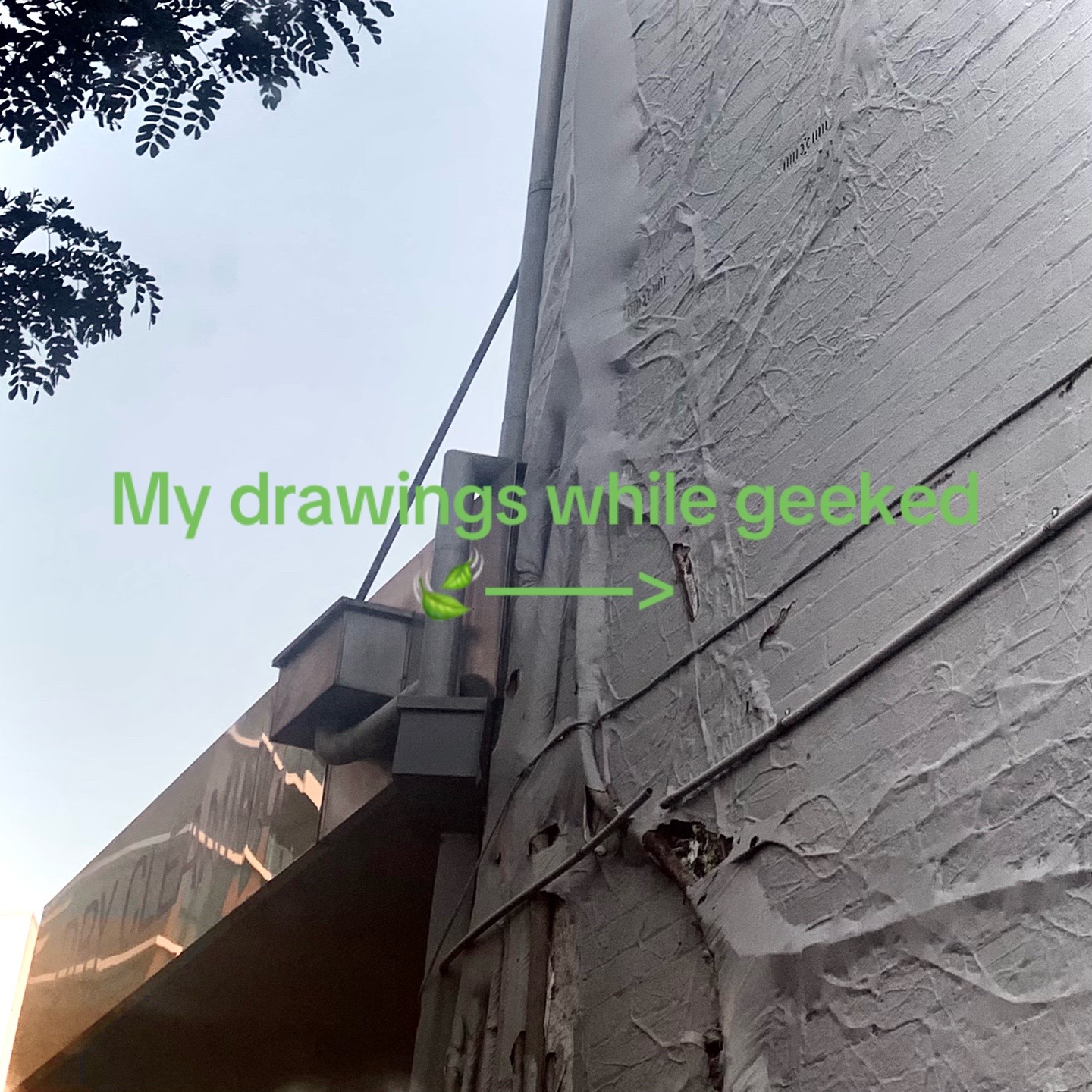 @𓆝 𓆟 𓆞