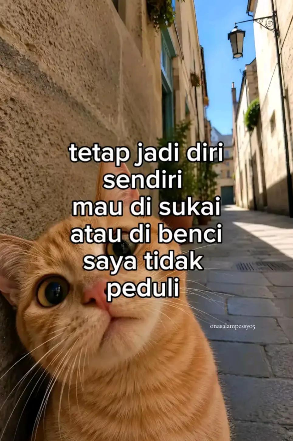 @syifa salampessy💛🌻