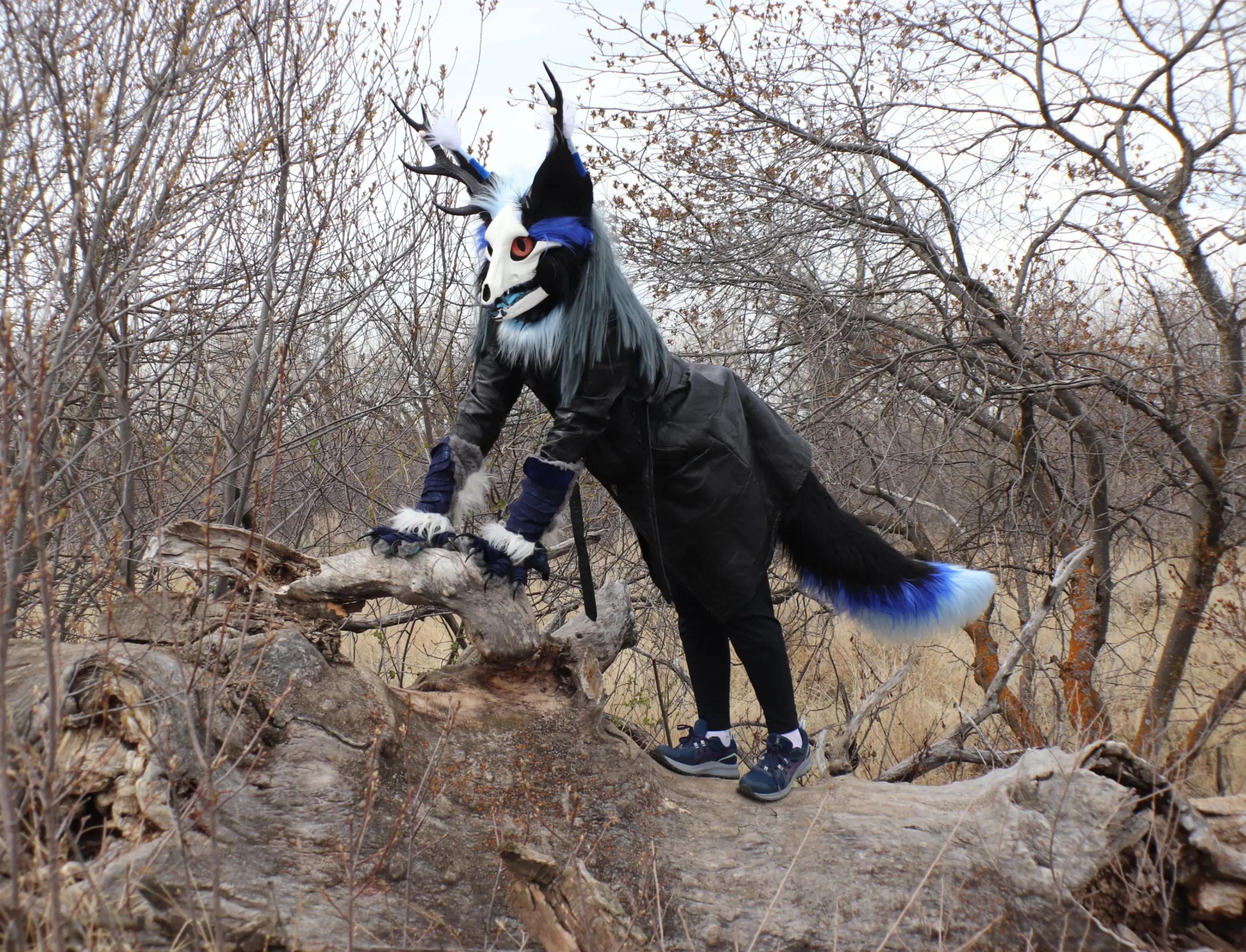 @CorvusFox