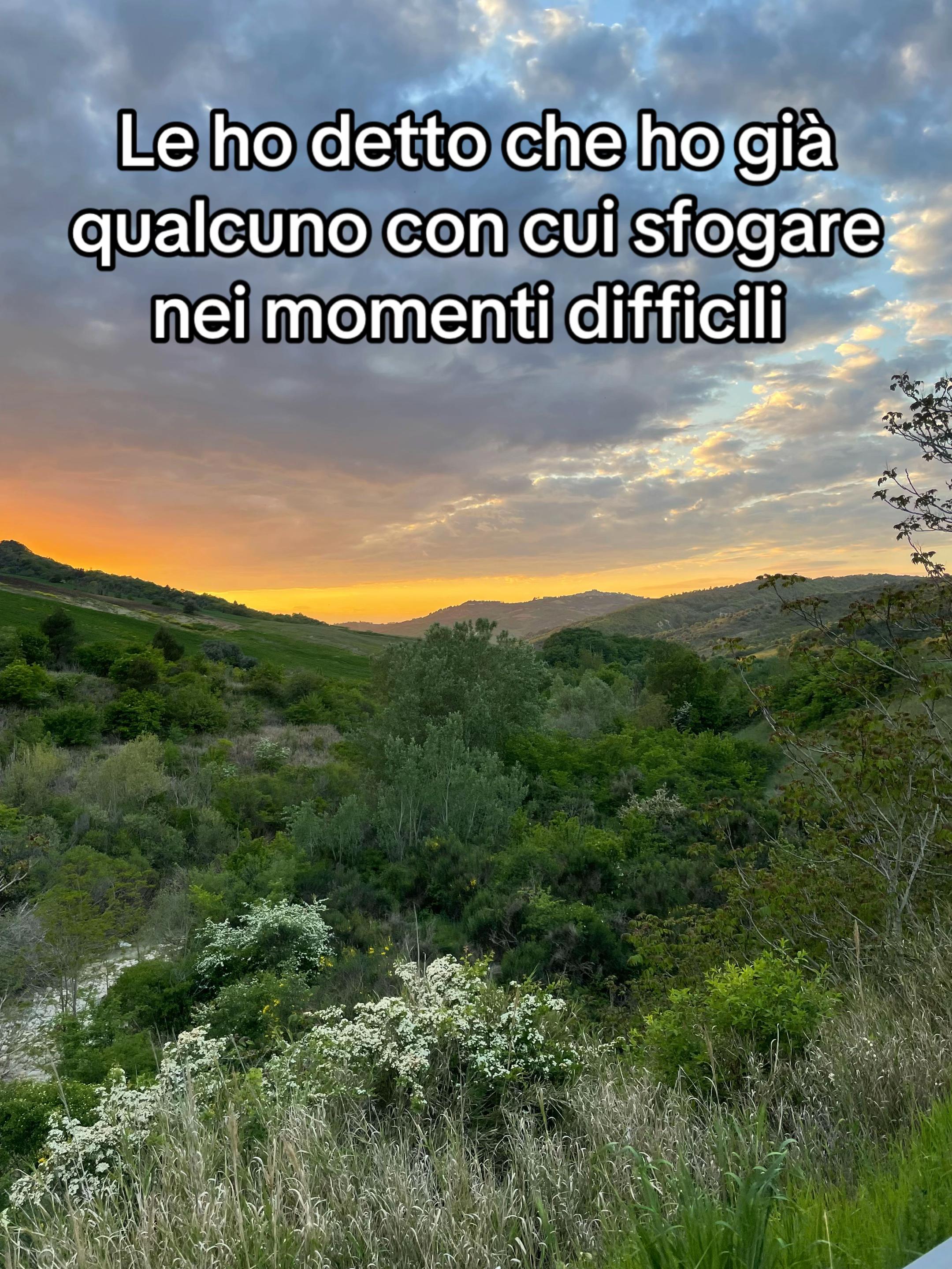 @lorenzdelledon