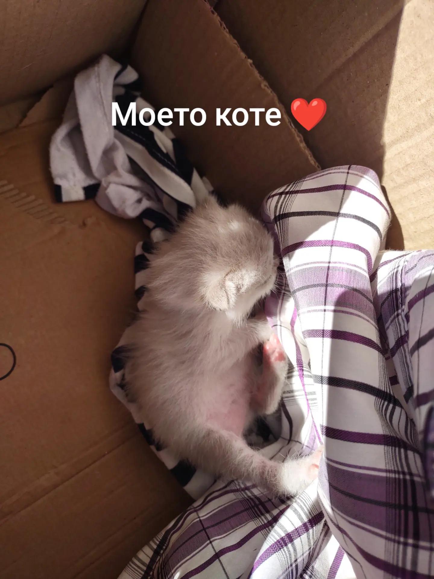 @Stivbo