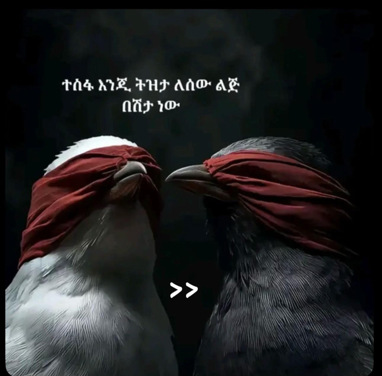 @lavita776