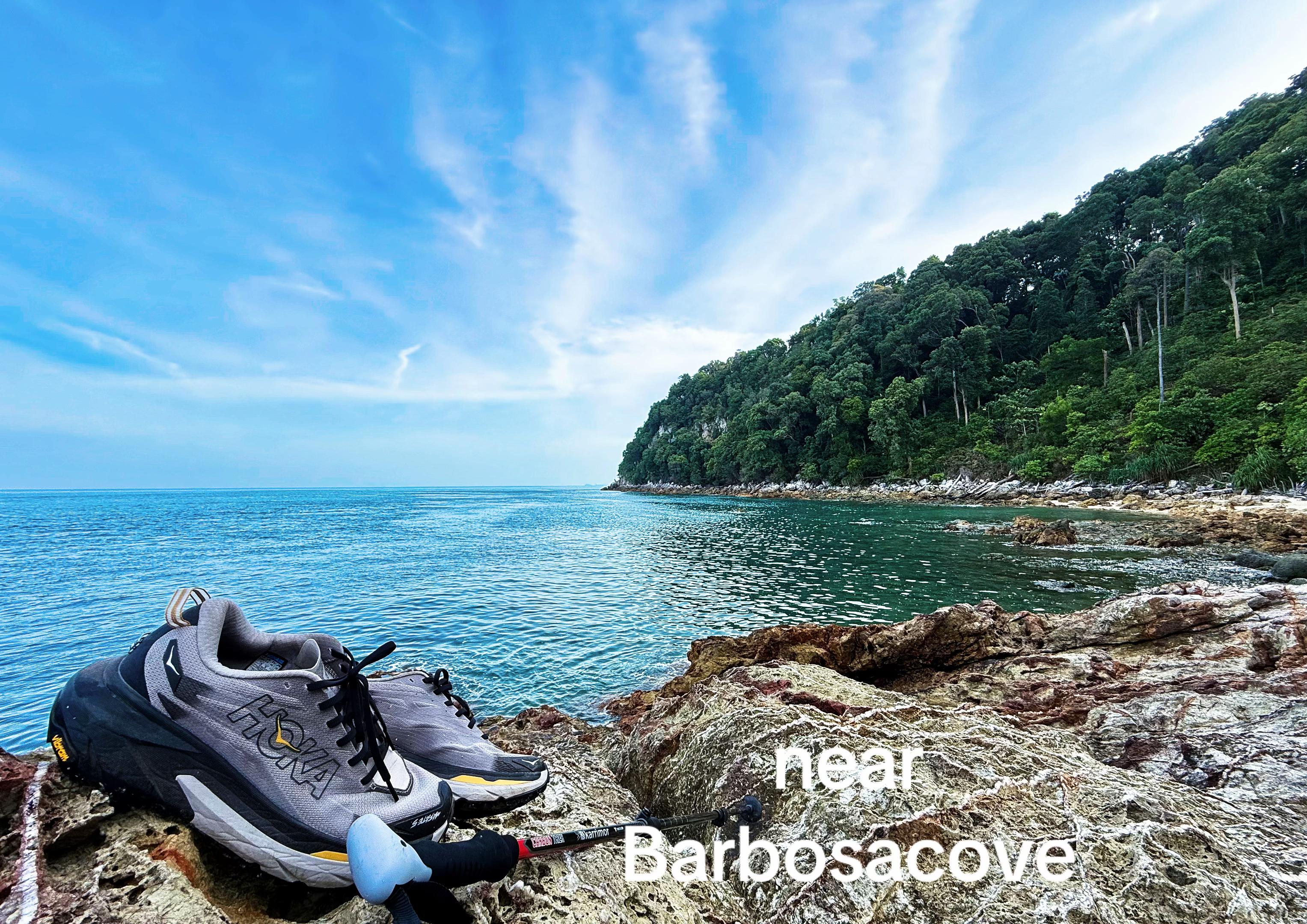 @barbosacove