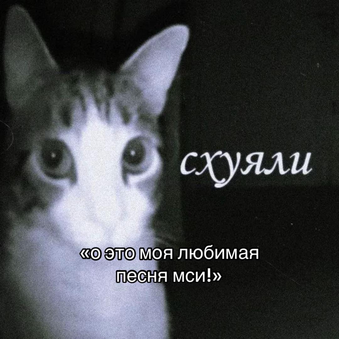 @женя страмовна🌀