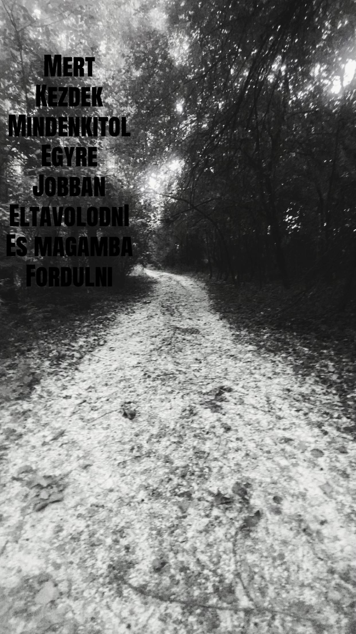 @𝐒