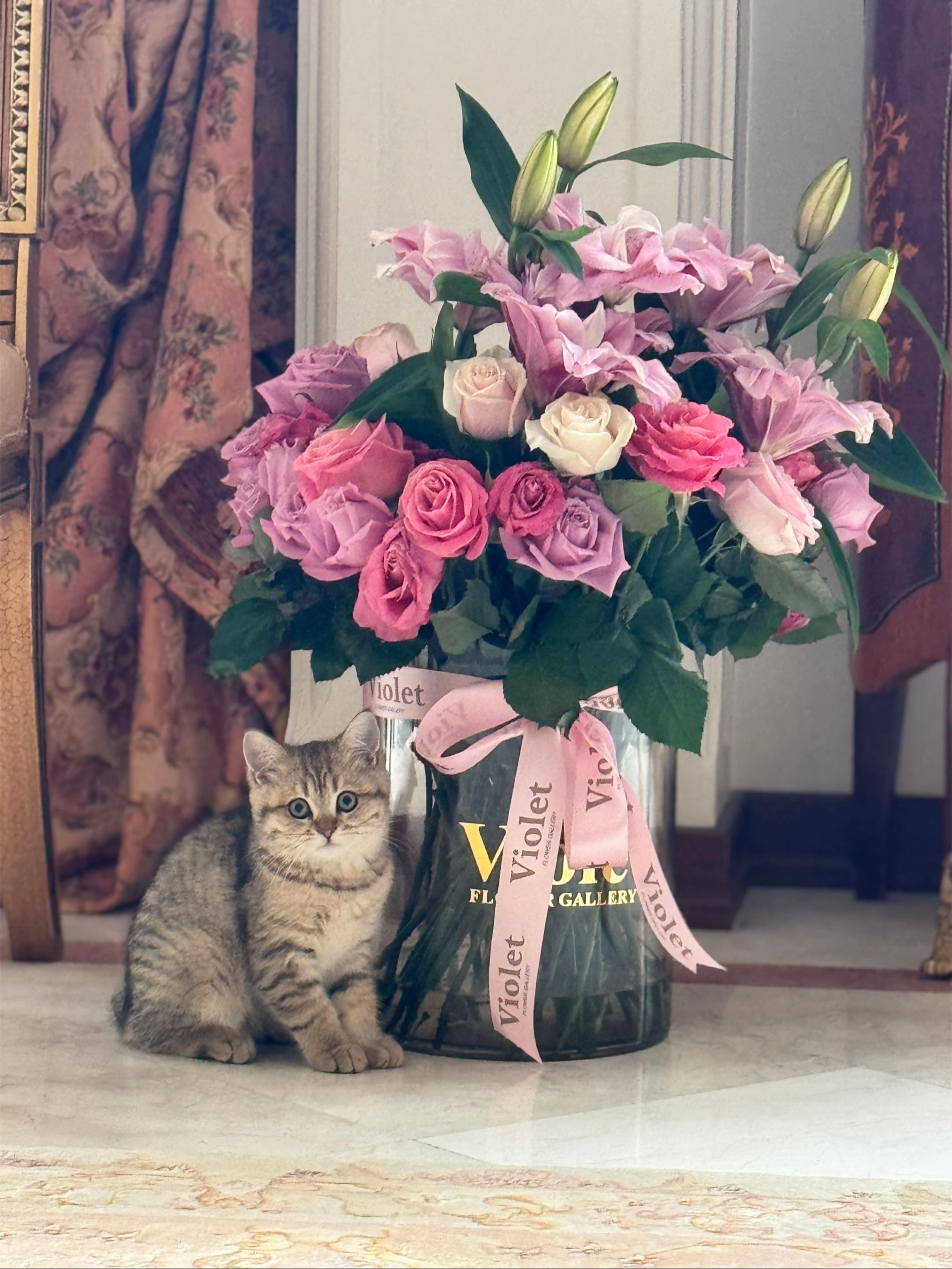 @Zizouuu