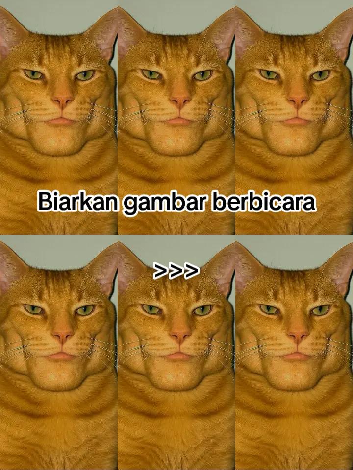 @HykalSazer01