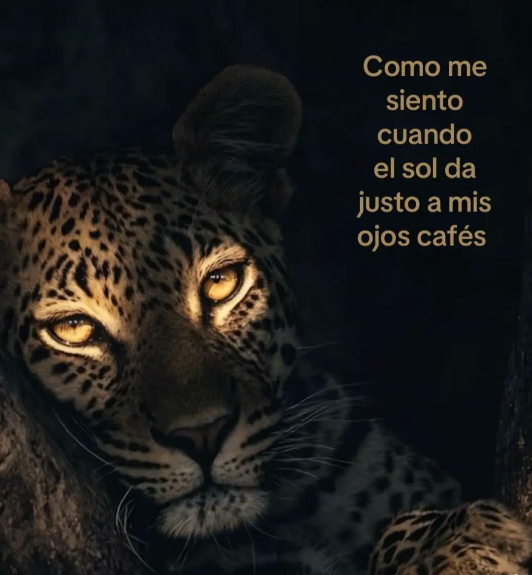 @francy☆♥