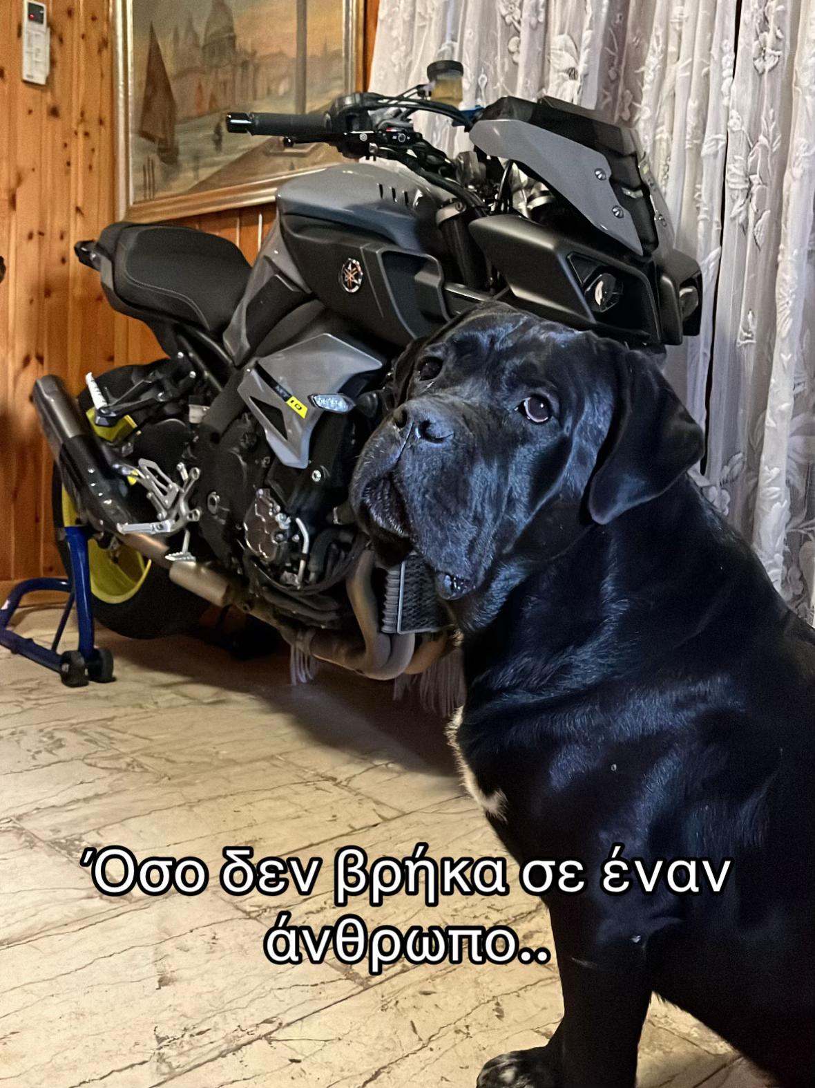 @WheelieGuy