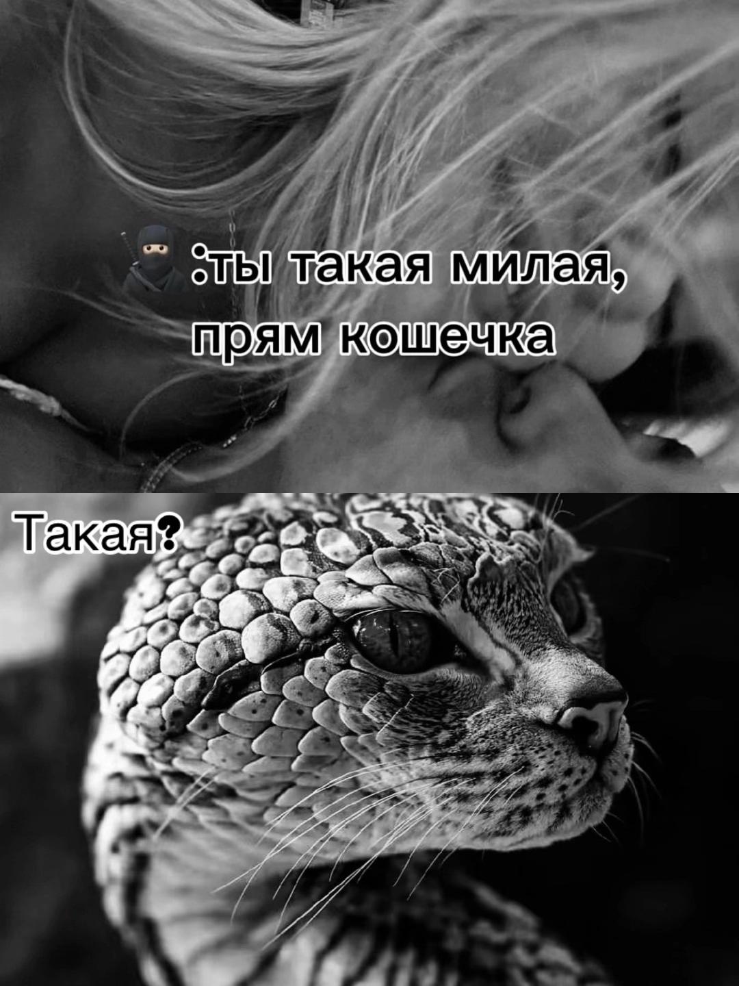 @𝐸𝓁𝑒𝓃𝒶 𝐵𝒶𝓈𝓀𝒶𝓀𝑜𝓋𝒶