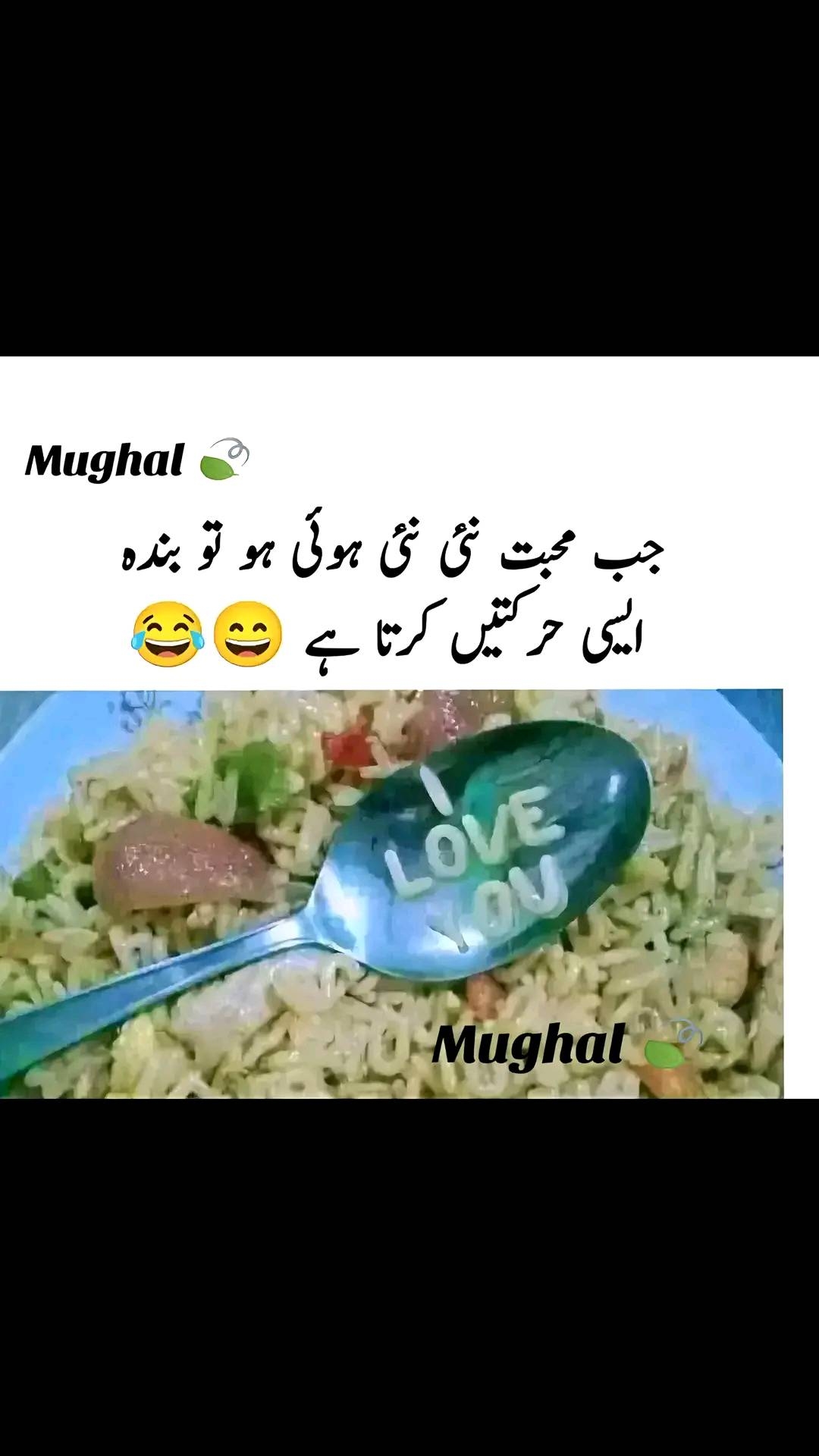@shehzadi