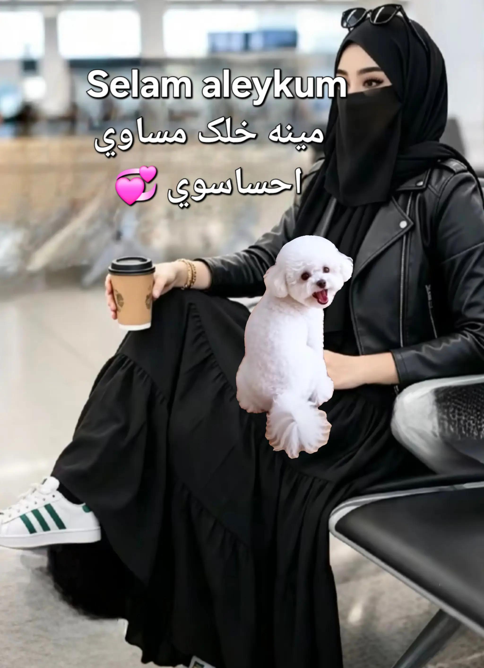 @Rodica Faisal