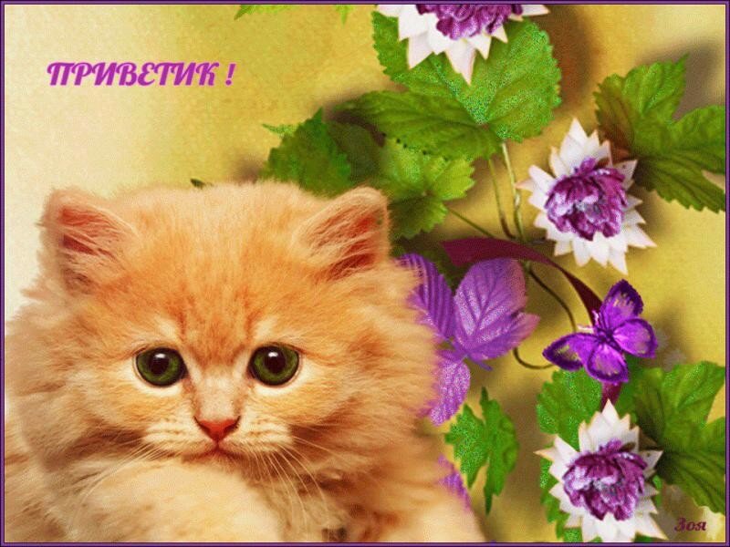 @zharas✝️🇰🇿