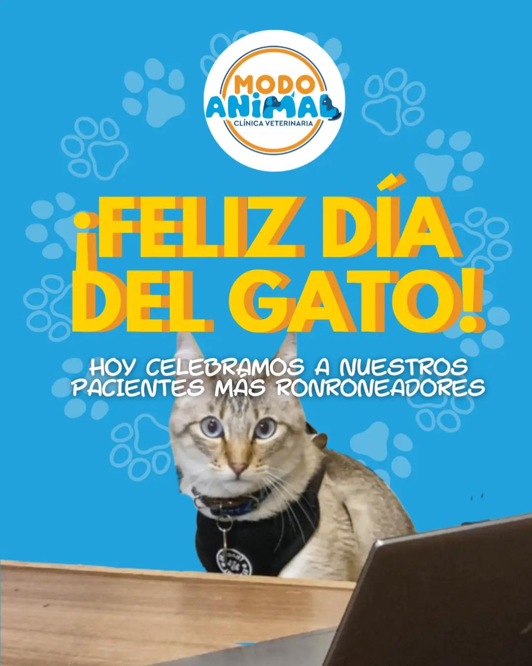@VetModoAnimal
