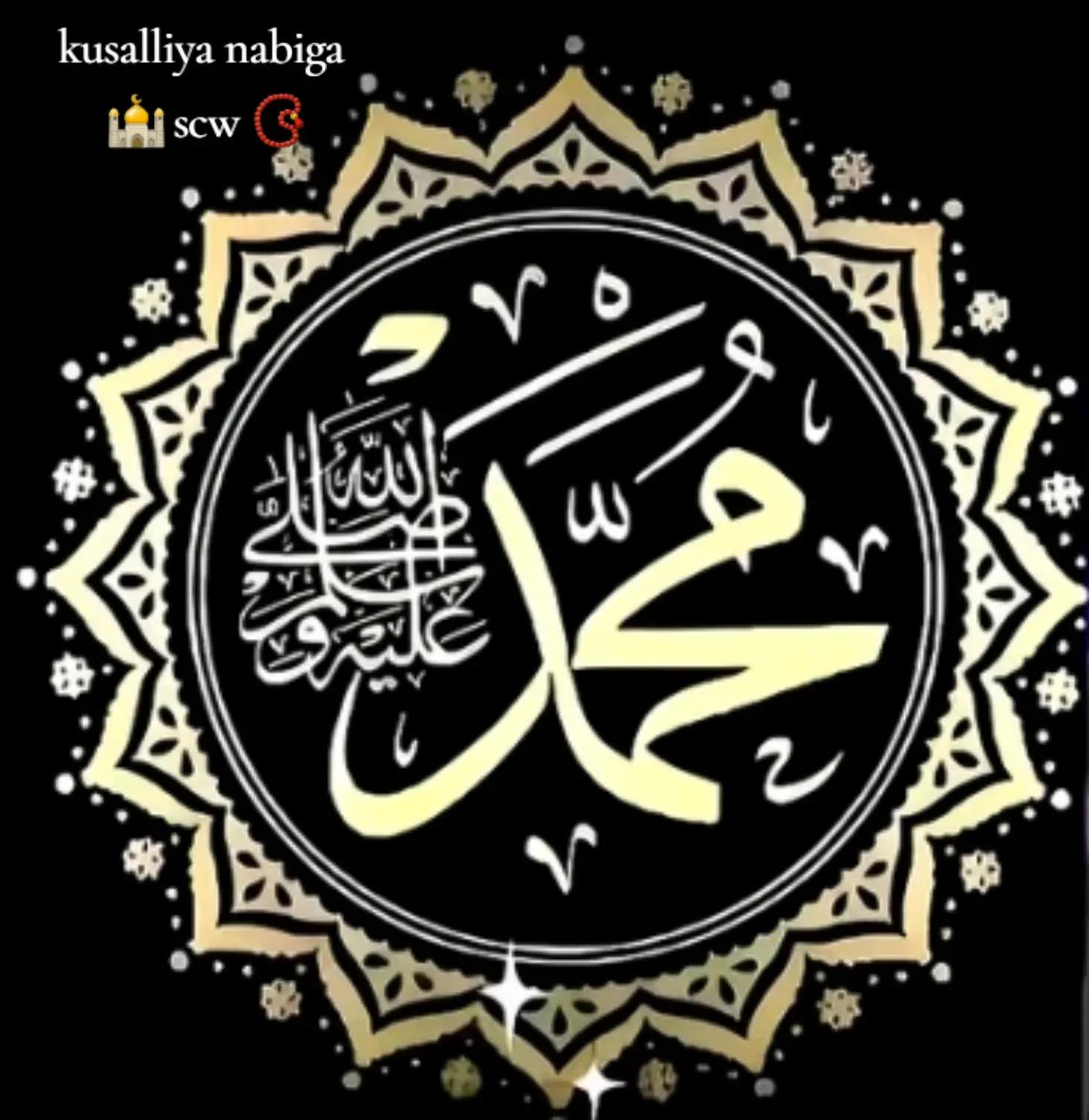 @Rayanbilan3