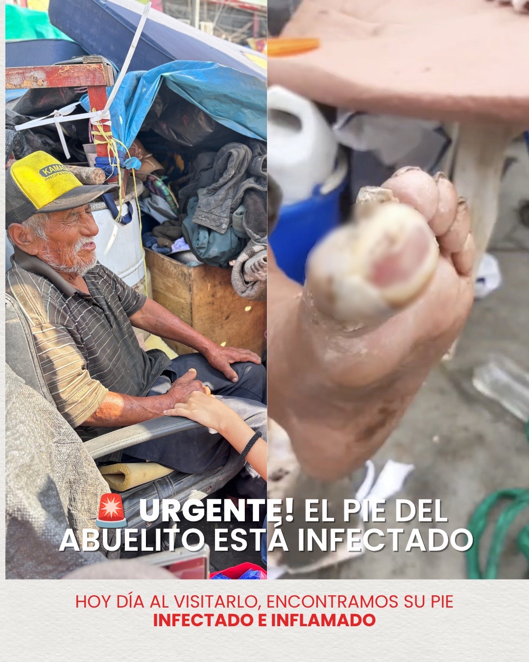 @AdoptaUnAbuelito