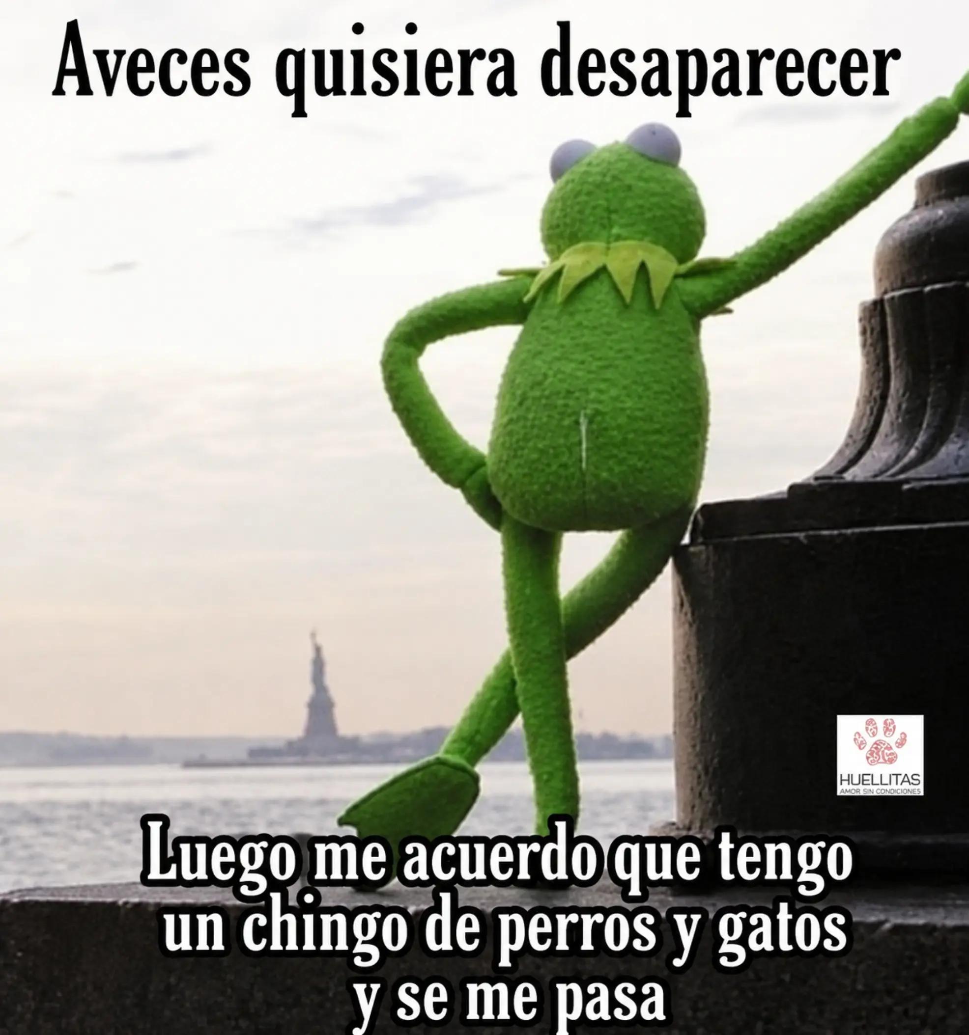 @Nasde