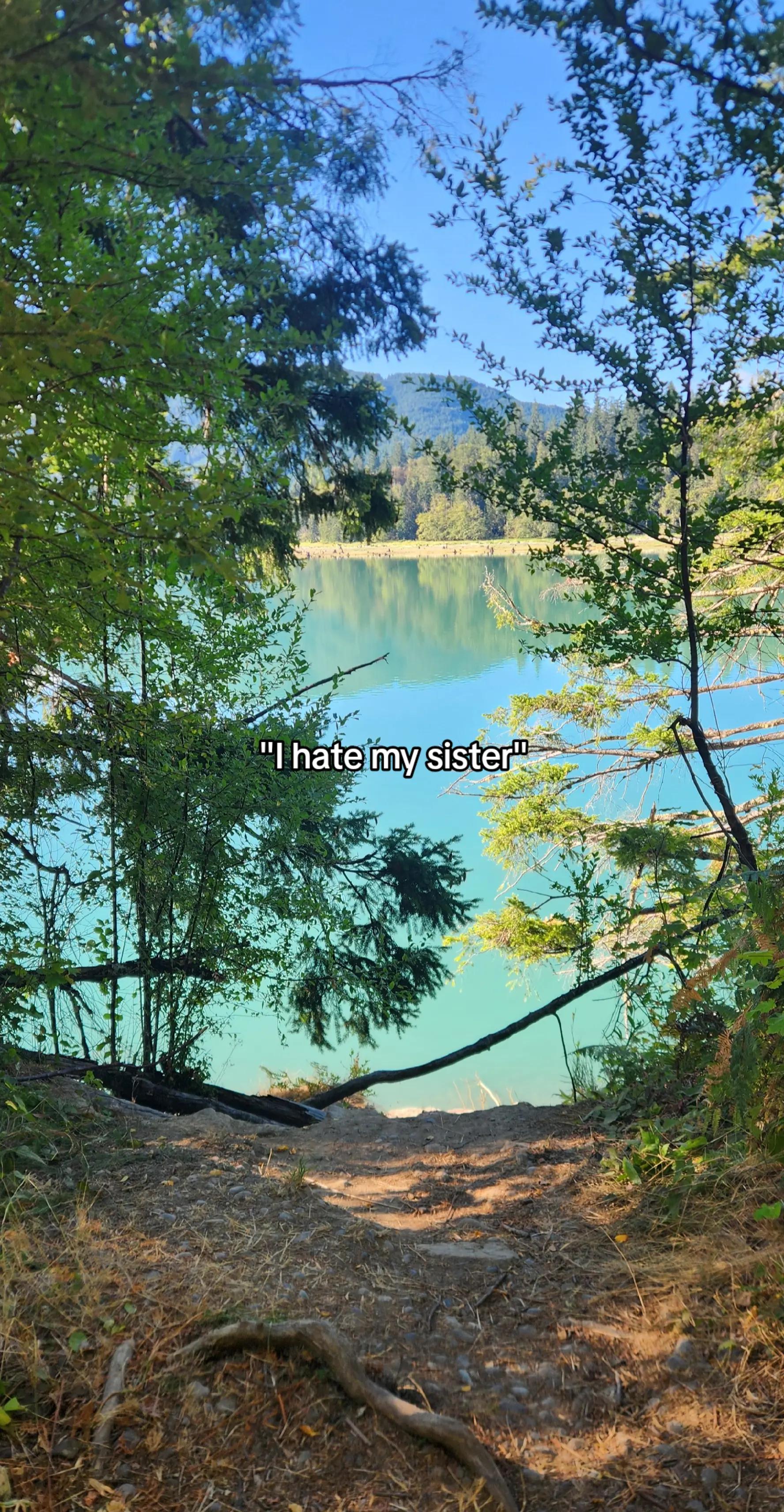 @spencer🌲