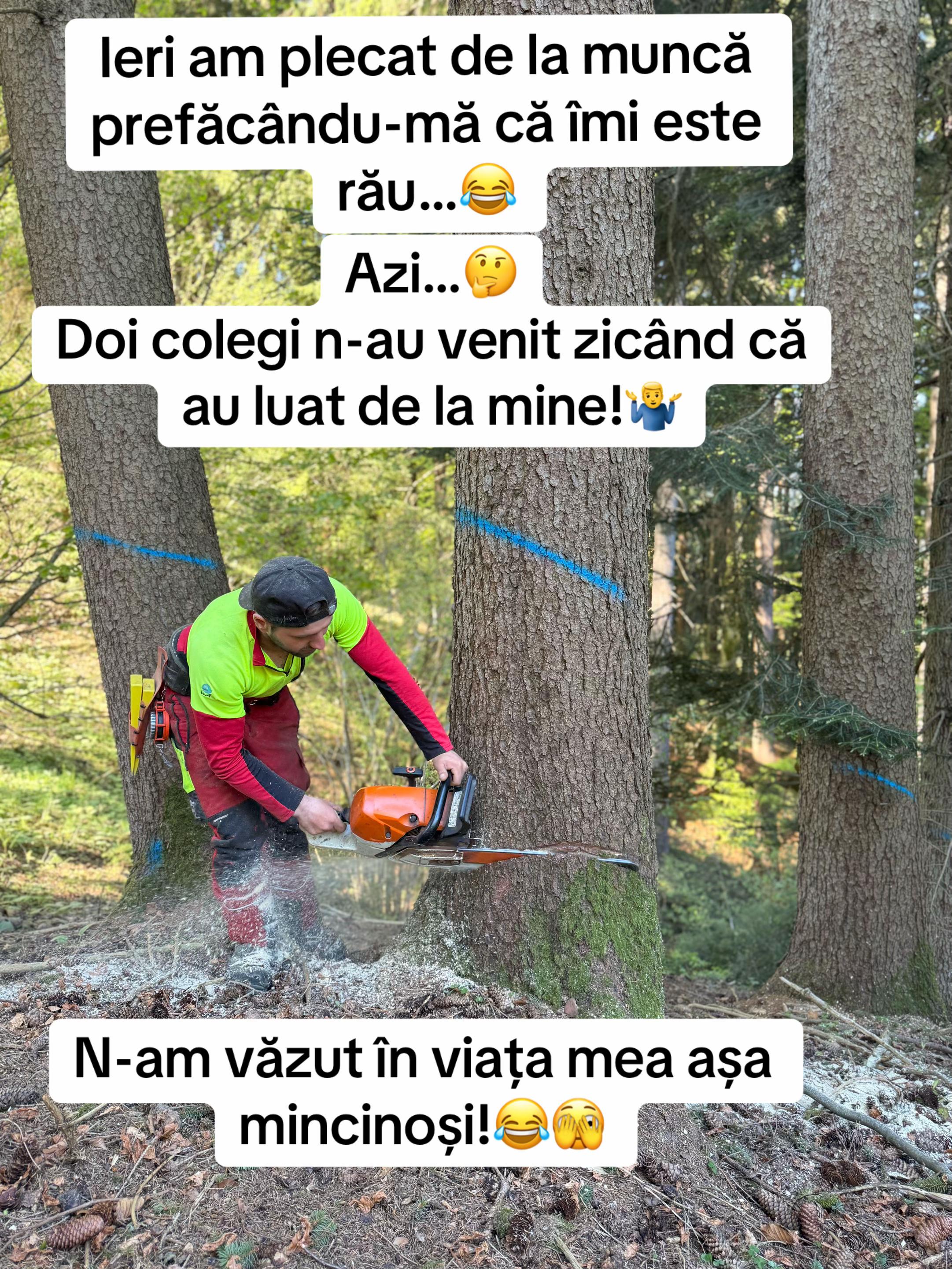 @Nicu Văsieș