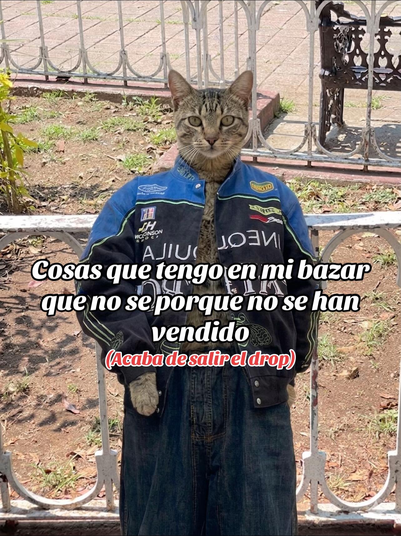 @manitadgmx