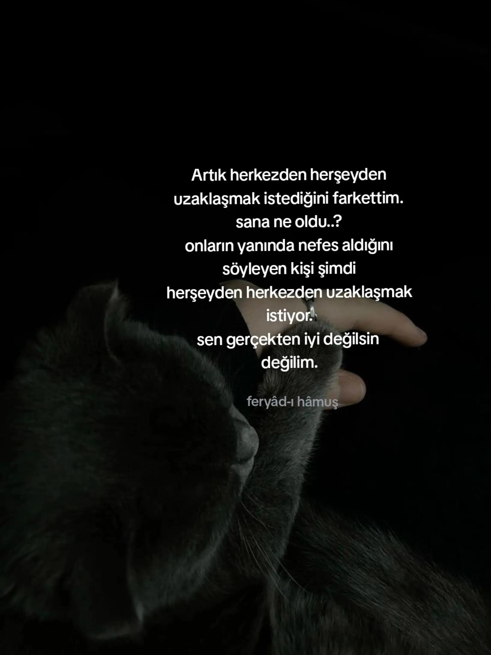 @Feryâd-ı Hâmûş;