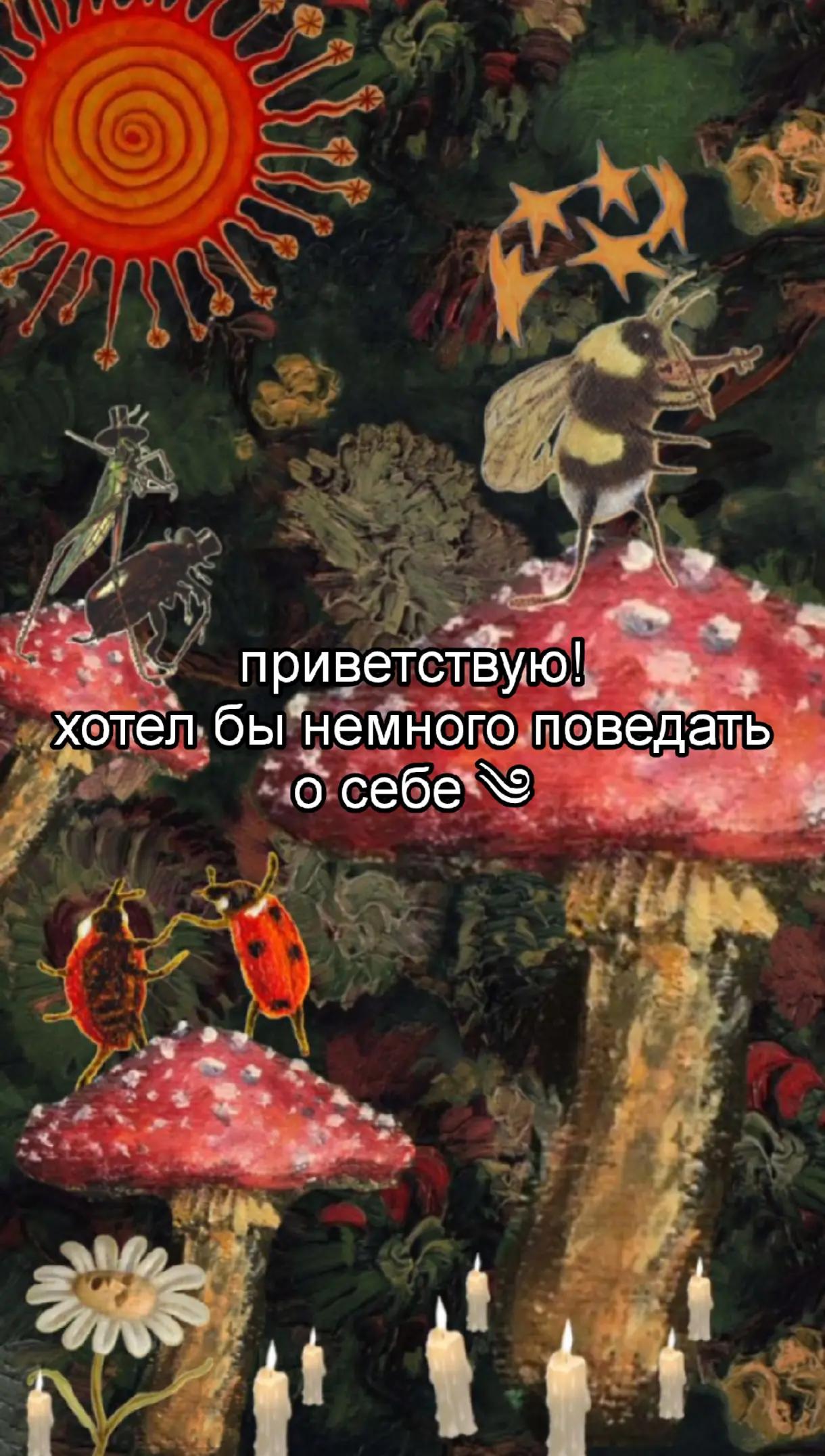 @[@] shishkarda 𔓘