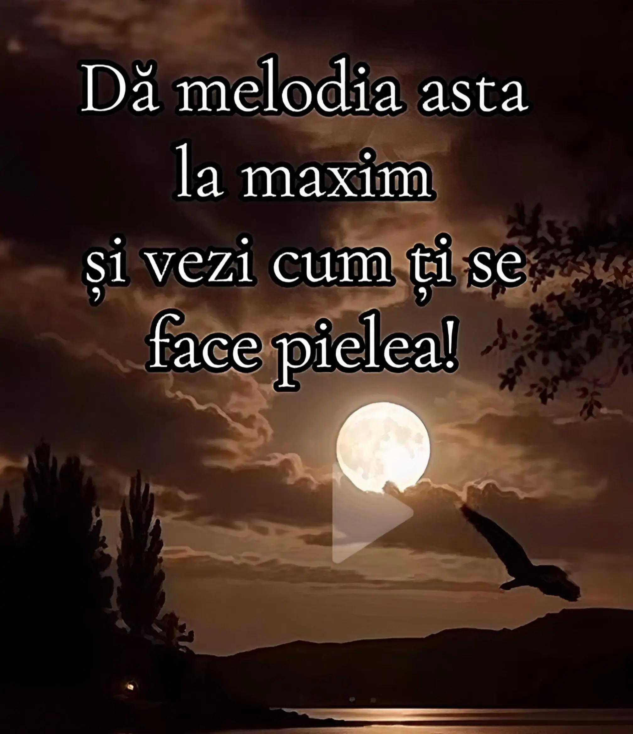 @Andreea Croitoru
