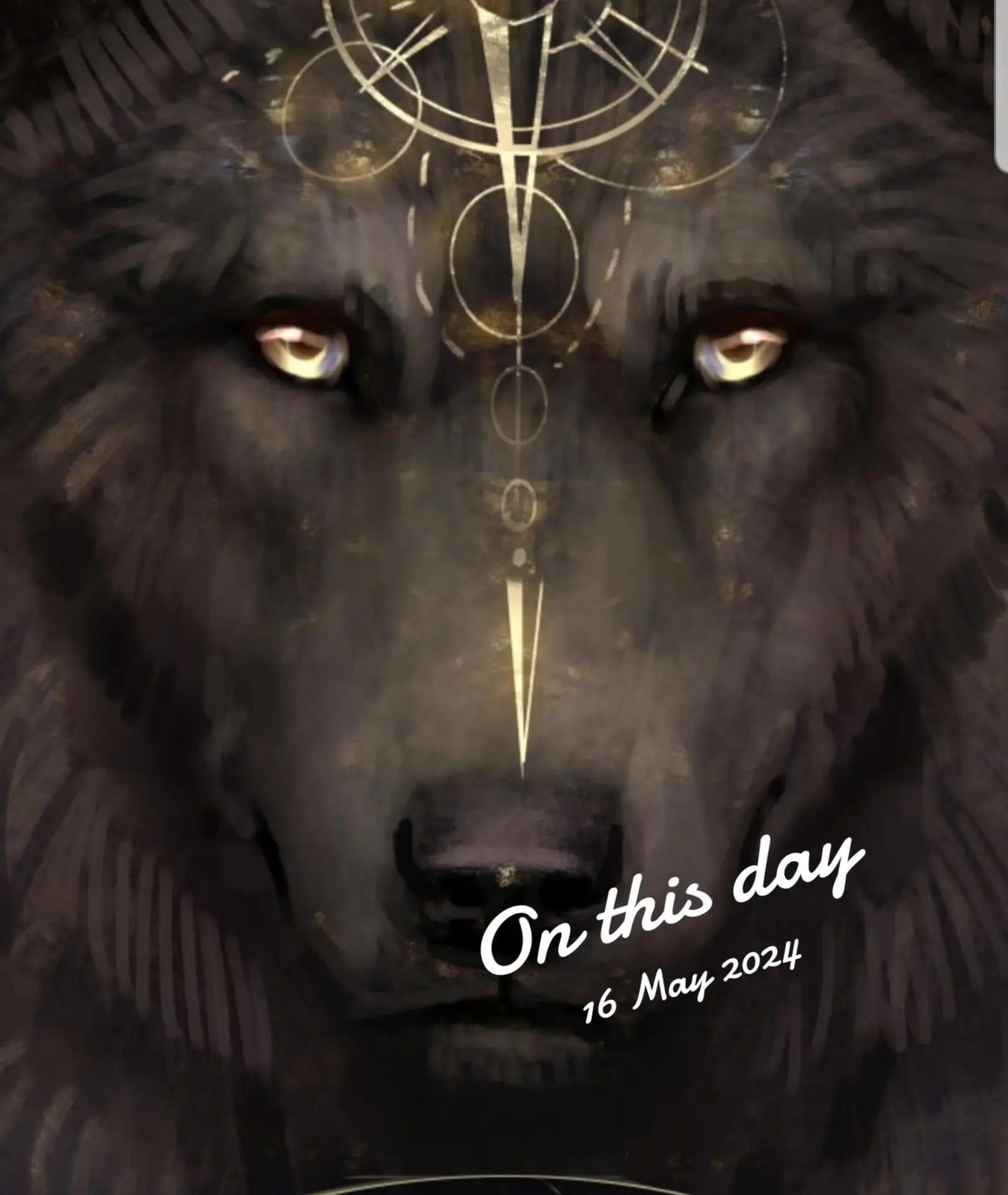 @Kaiwolf