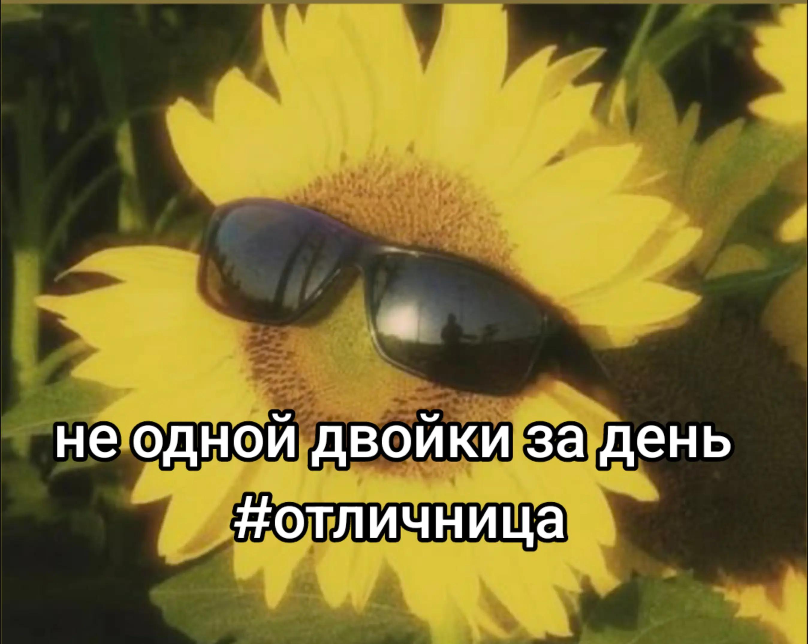 @🌺🌺🌺отказано🫦🫦🫦