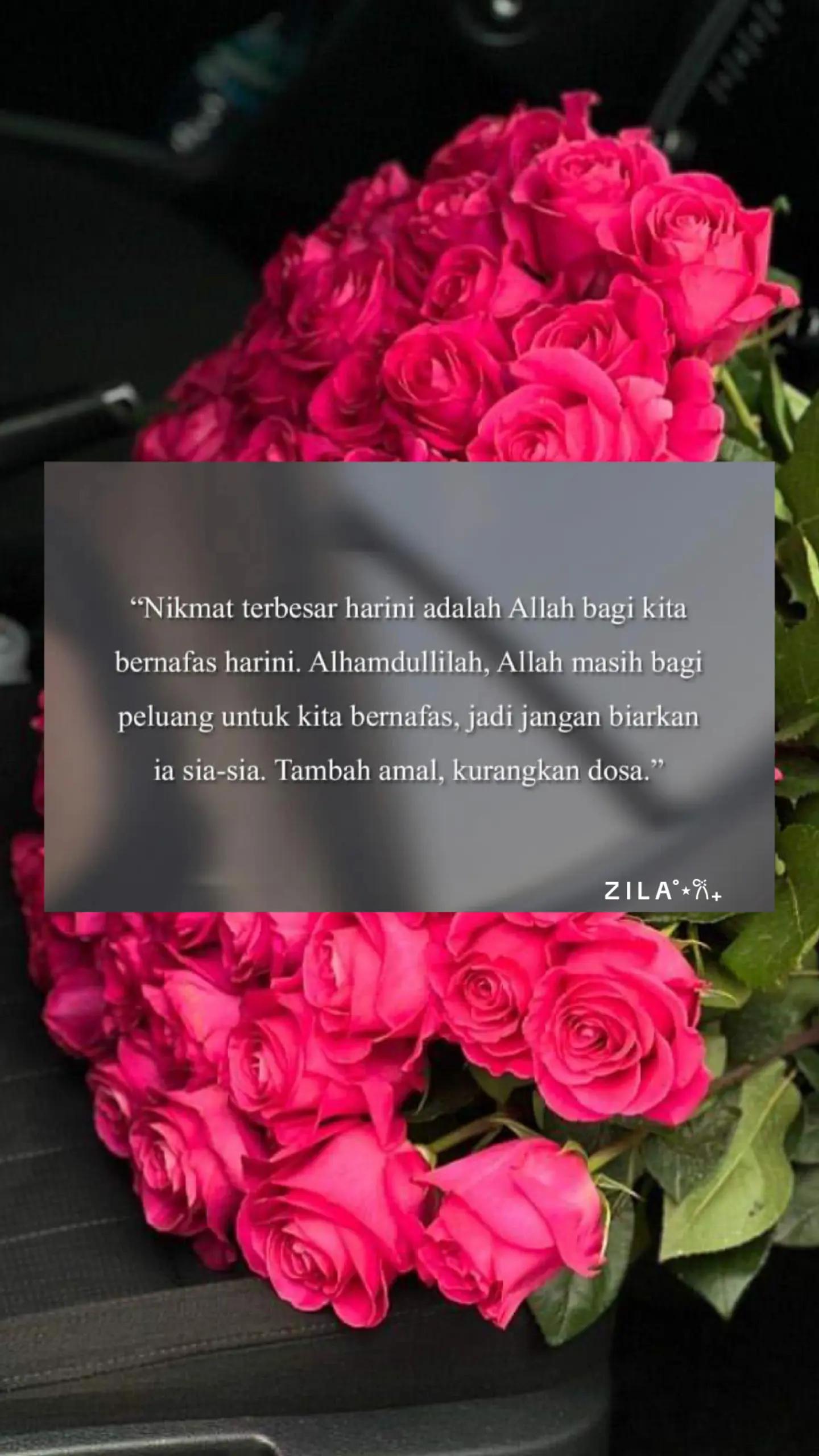 @Z I L A˚⋆𐙚₊